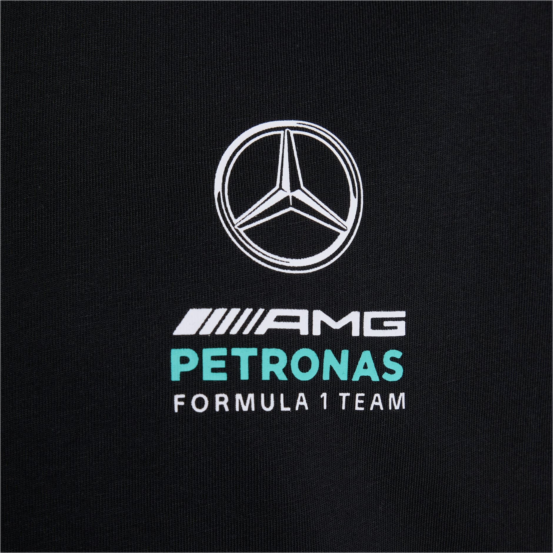 MERCEDES - AMG PETRONAS FORMULA 1 TEAM DNA TEE