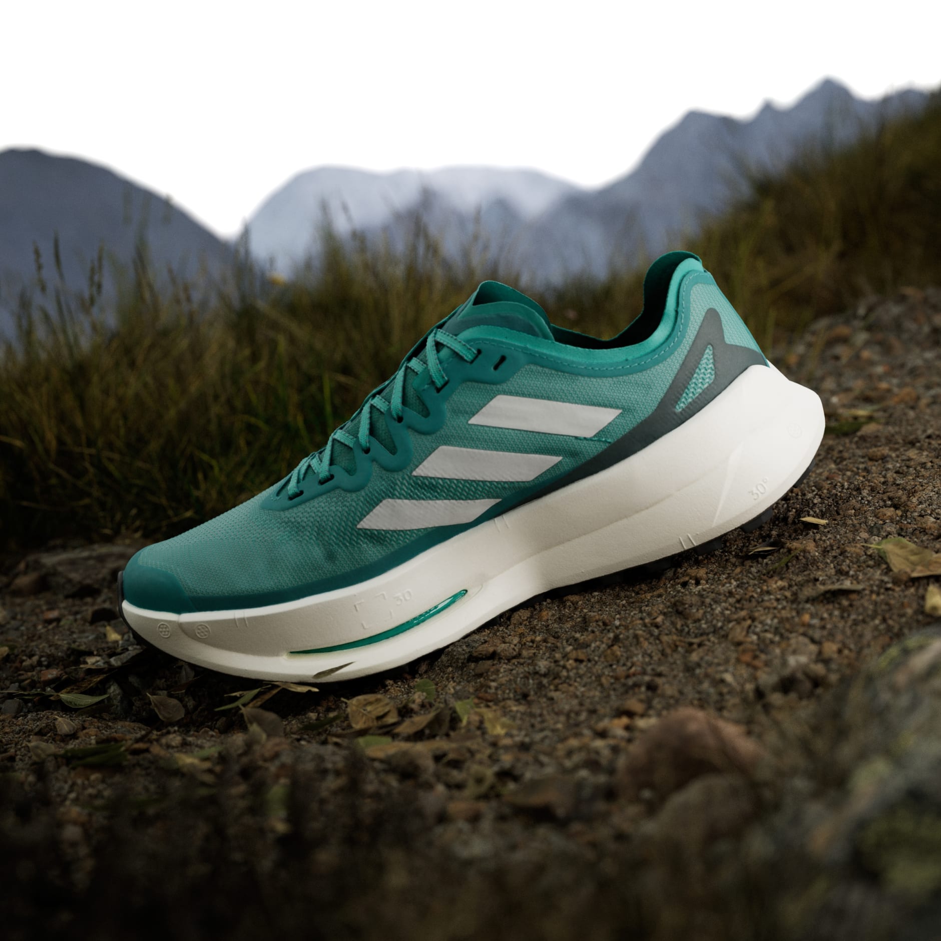 Terrex Agravic Speed Ultra Trail Running Shoes