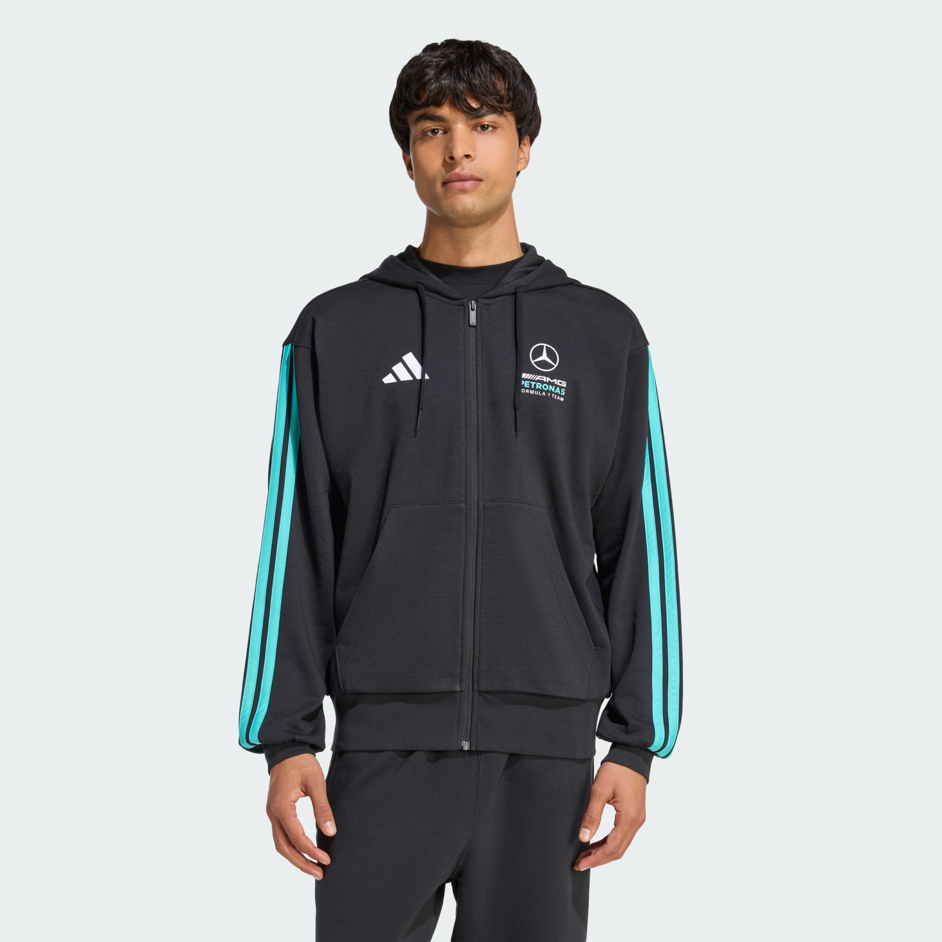 MERCEDES - AMG PETRONAS FORMULA 1 TEAM DNA FULL ZIP HOODY