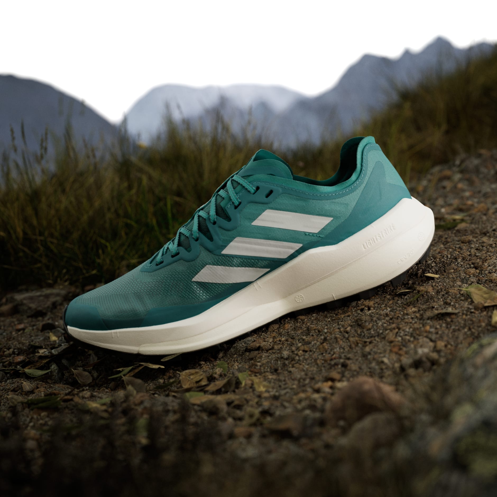 Terrex Agravic Speed Trail Running Shoes