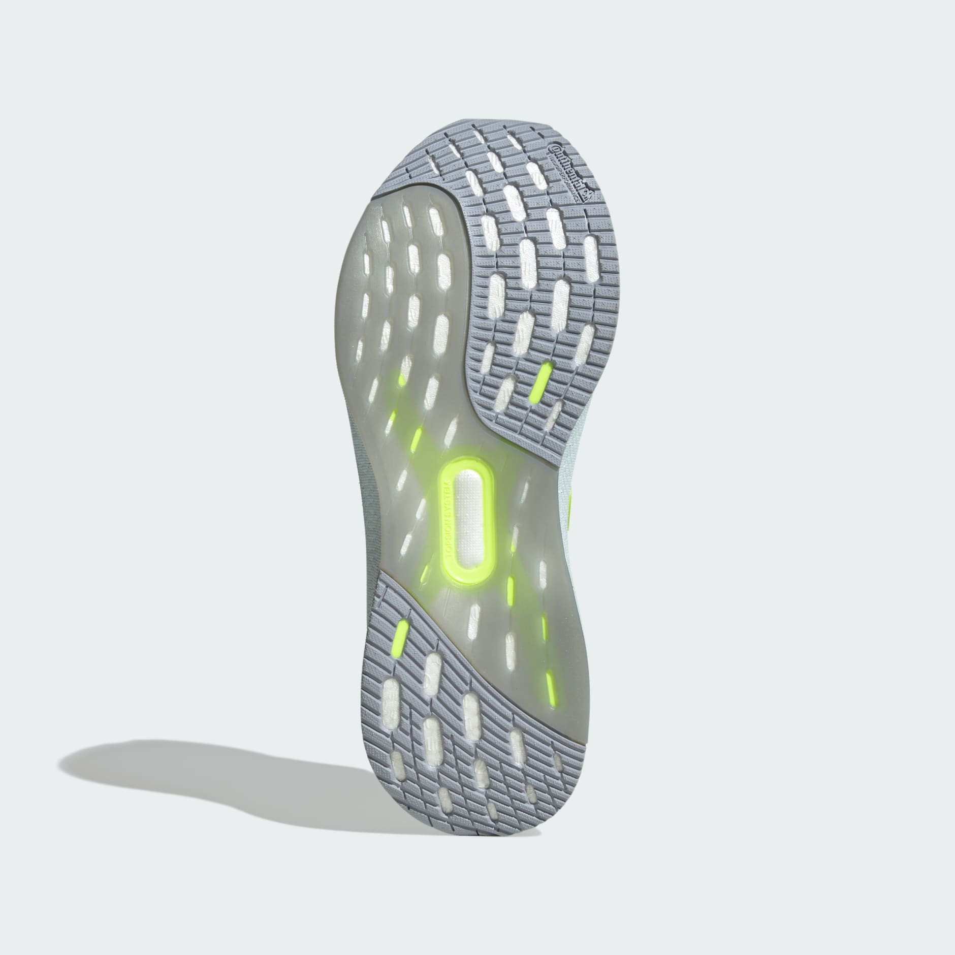 Pantofi Ultraboost 5