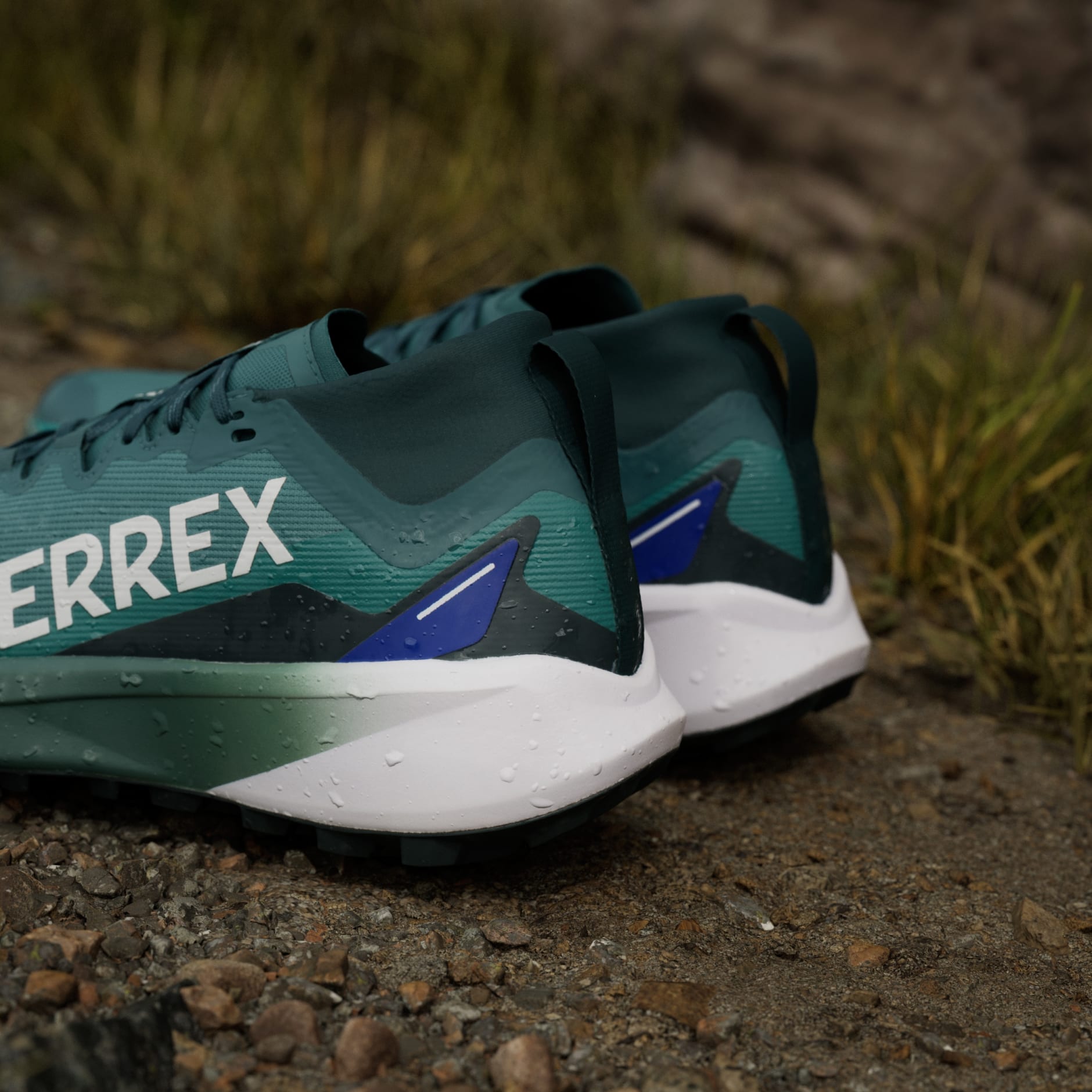 Tenisice za trail trčanje Terrex Agravic GTX