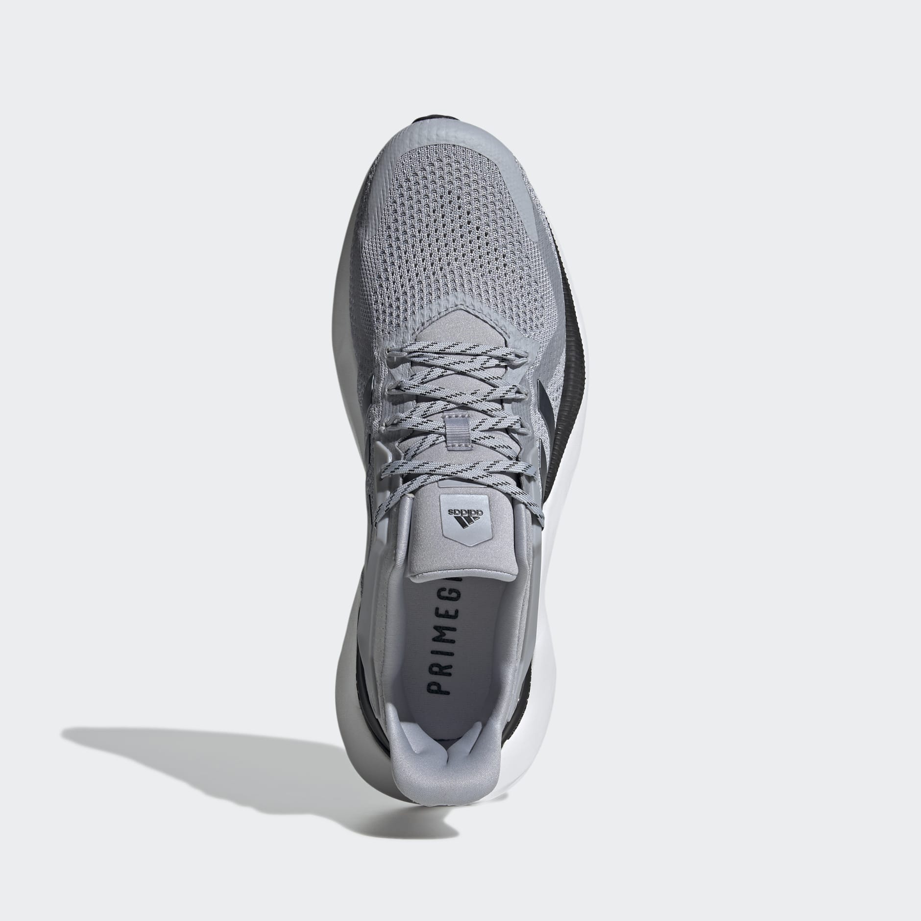 Alphatorsion 2.0 Shoes