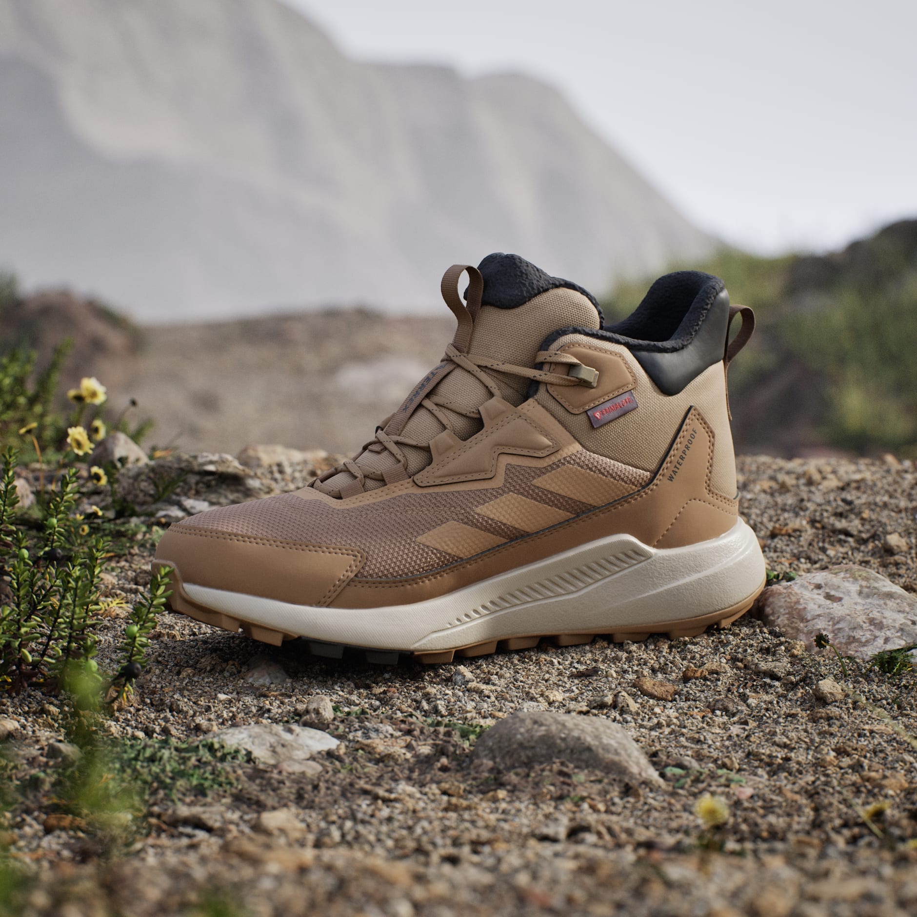 Ghete de drumeție Terrex Anylander CLIMAWARM+