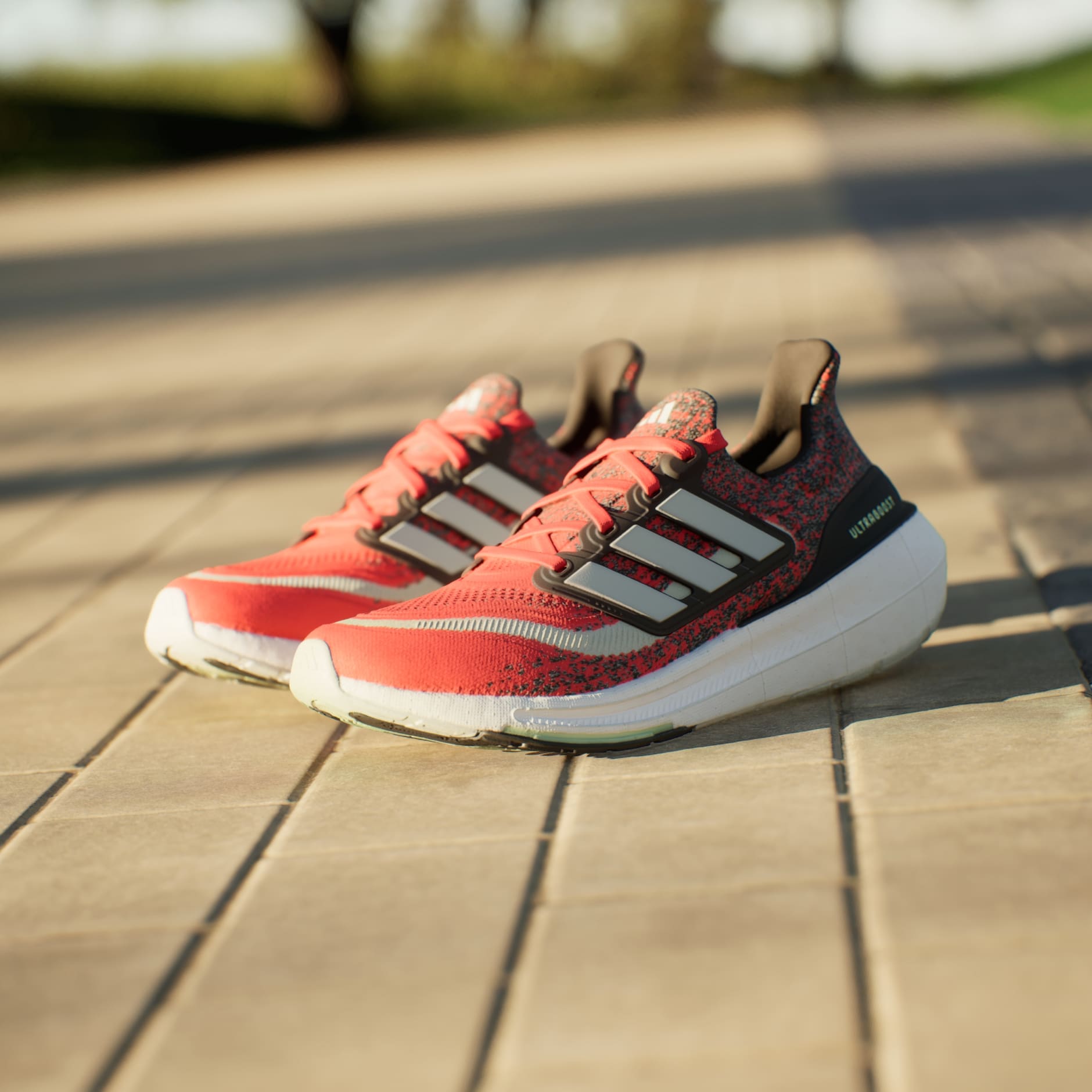 Adidas Vigor 6 TR M Trail Running Sneaker Shoe - Black/Red/Light Grey -  Shoplifestyle