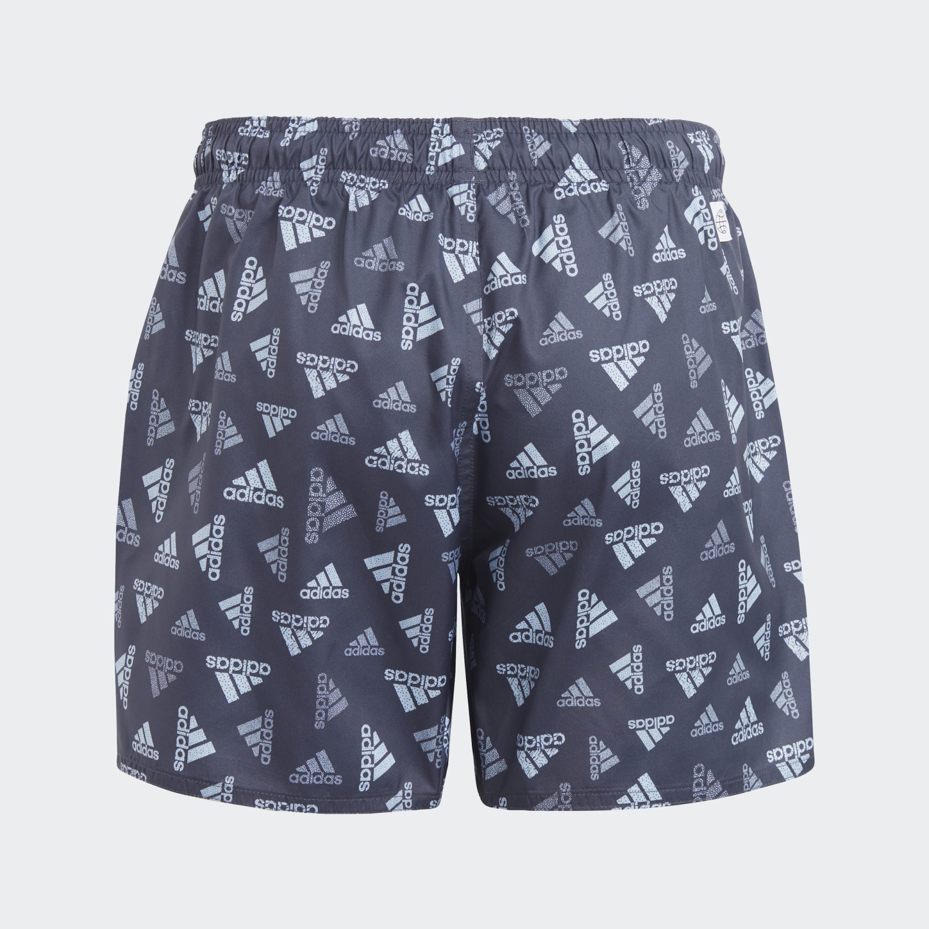 Logo Print CLX Swim Shorts