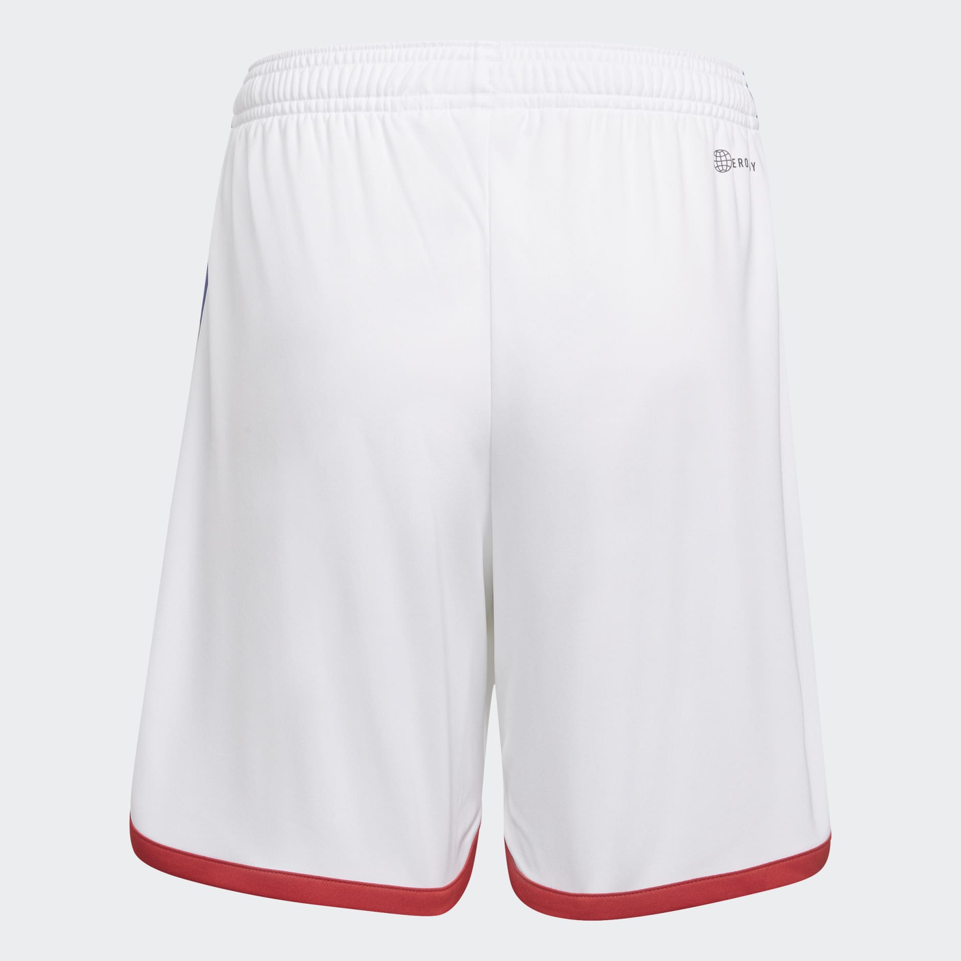 Japan 22 Home Shorts