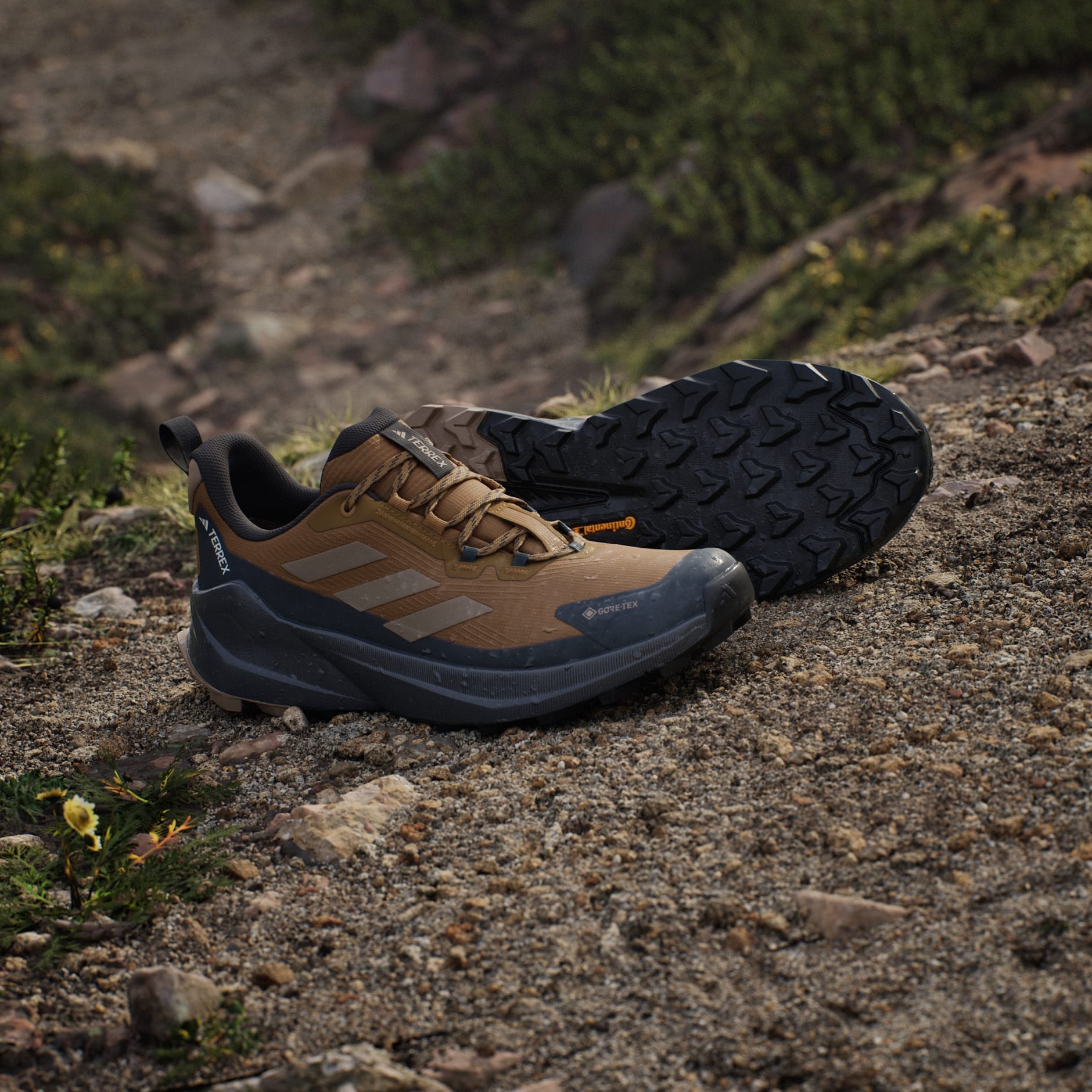 Pantofi de drumeție Terrex Trailmaker 2 GORE-TEX