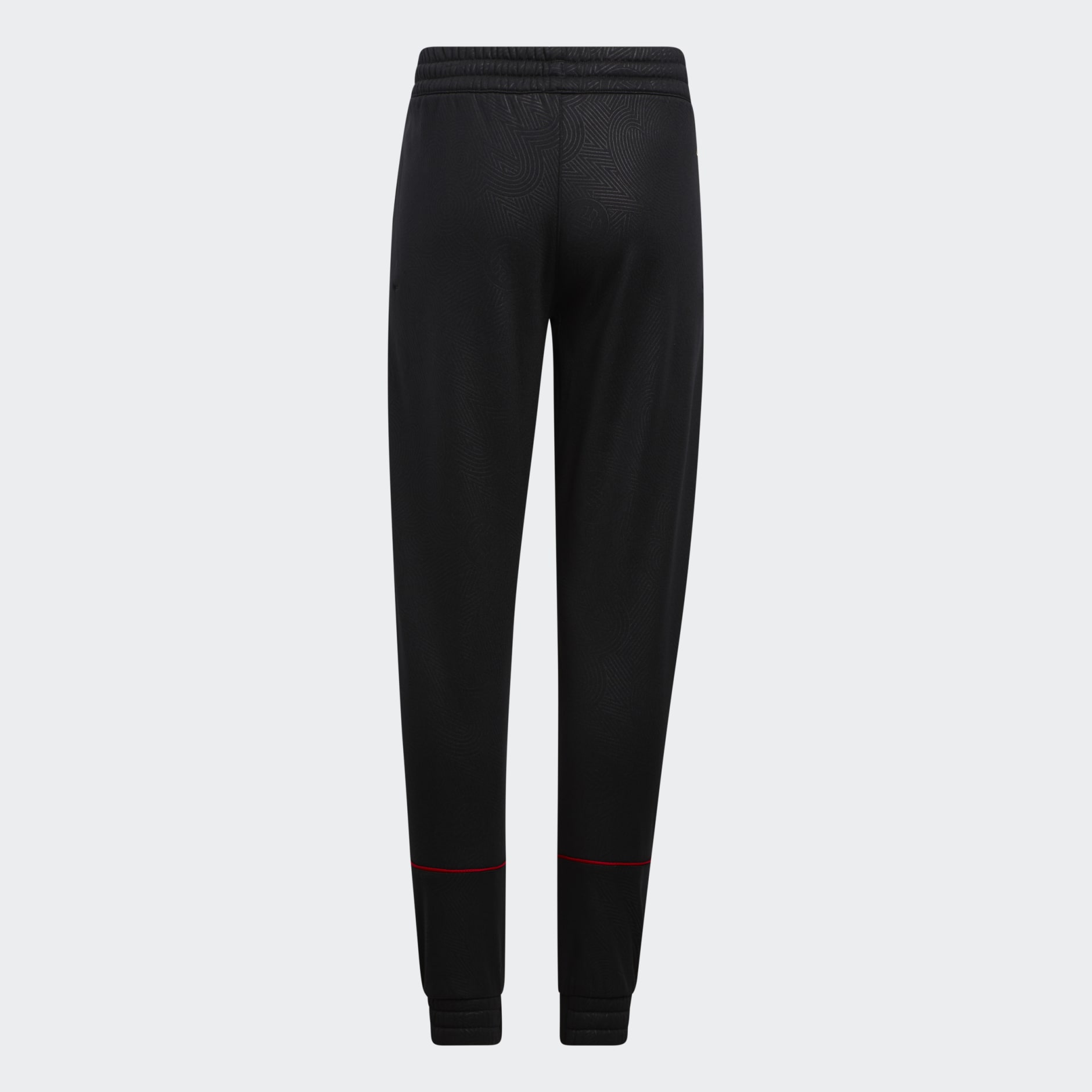 Harden Vol. 6 CNY Pants