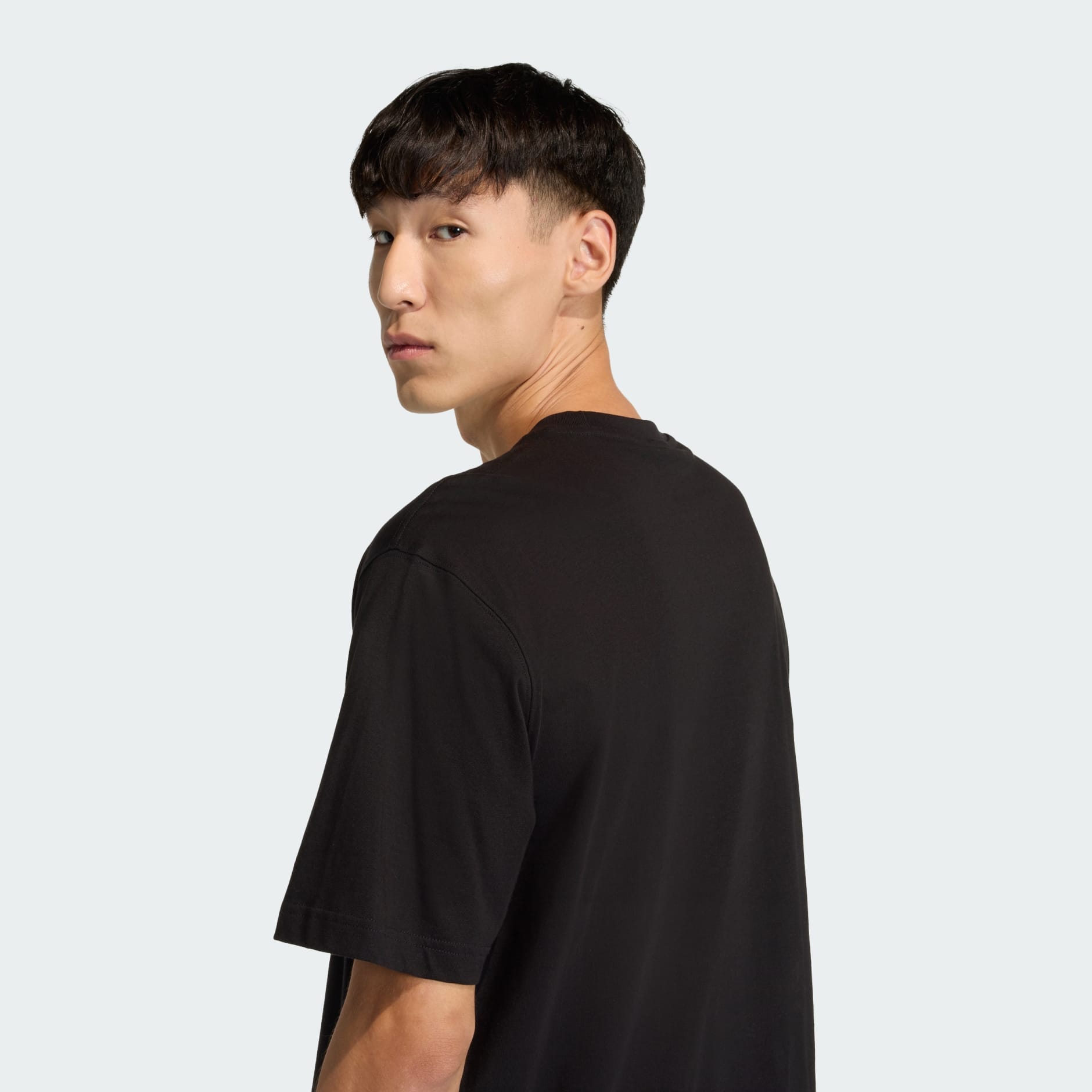 Trefoil Series Roses