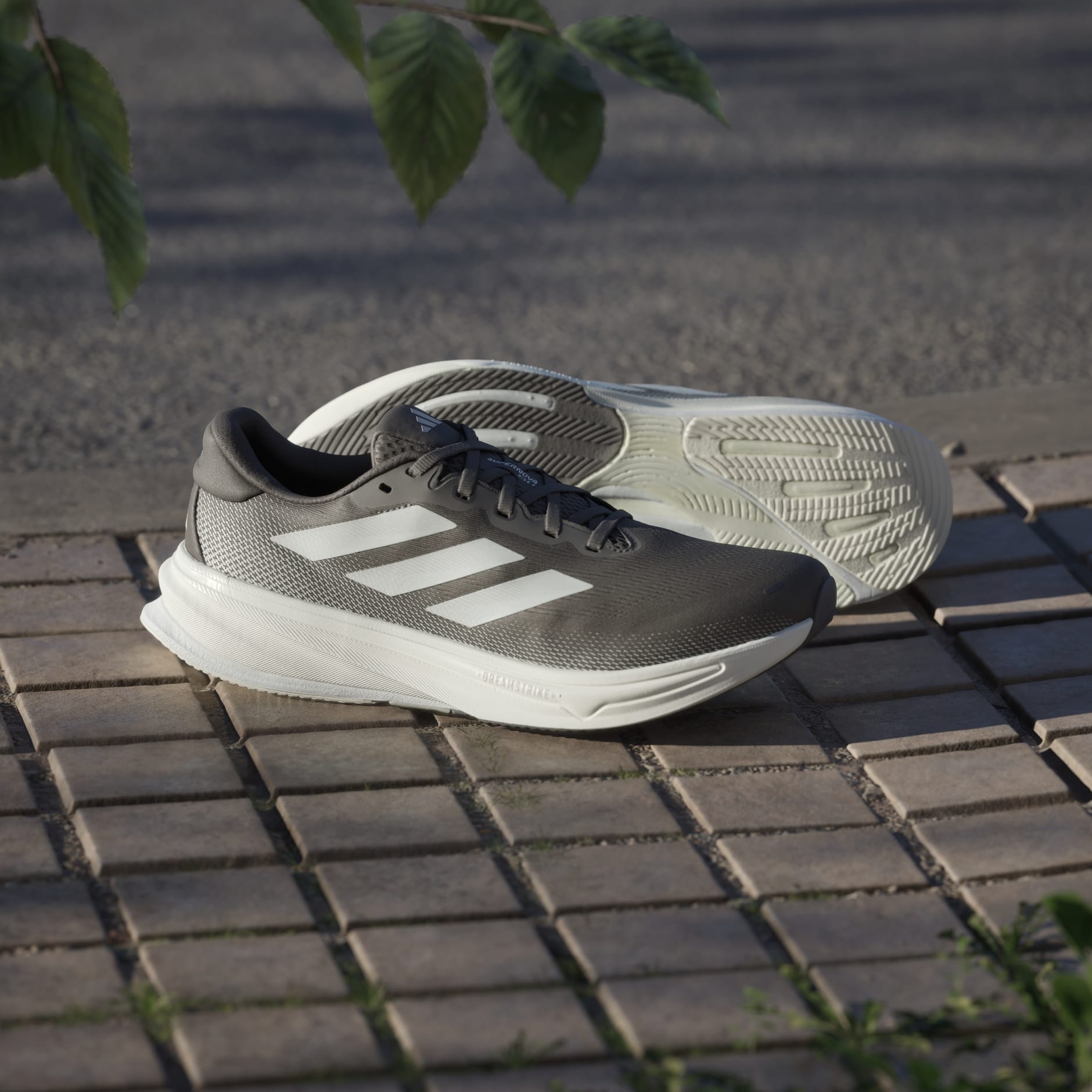 Pantofi de alergat Supernova Rise 2