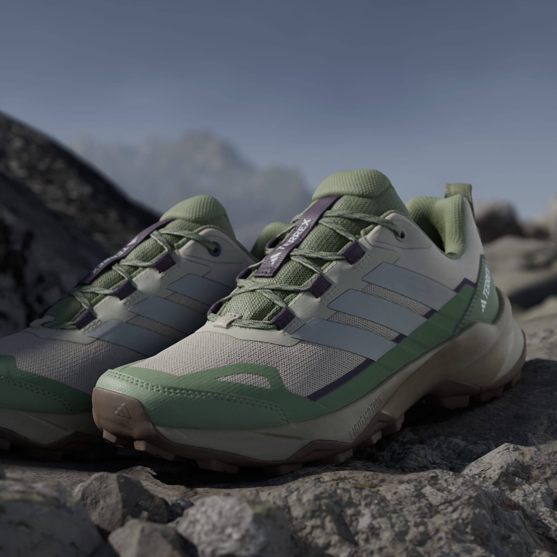 Pantofi de drumeție Terrex Skychaser Ax5