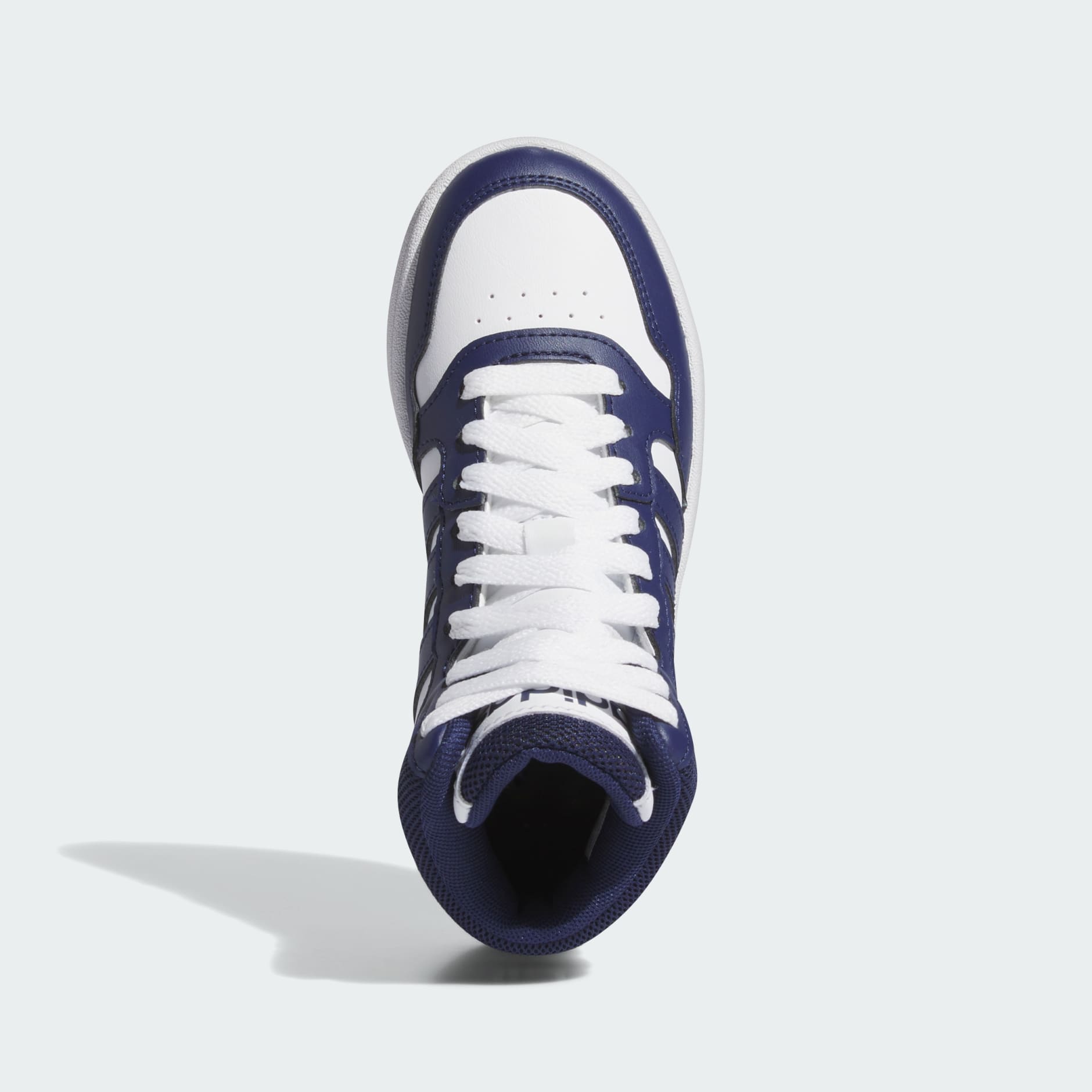 Pantofi Mid Hoops