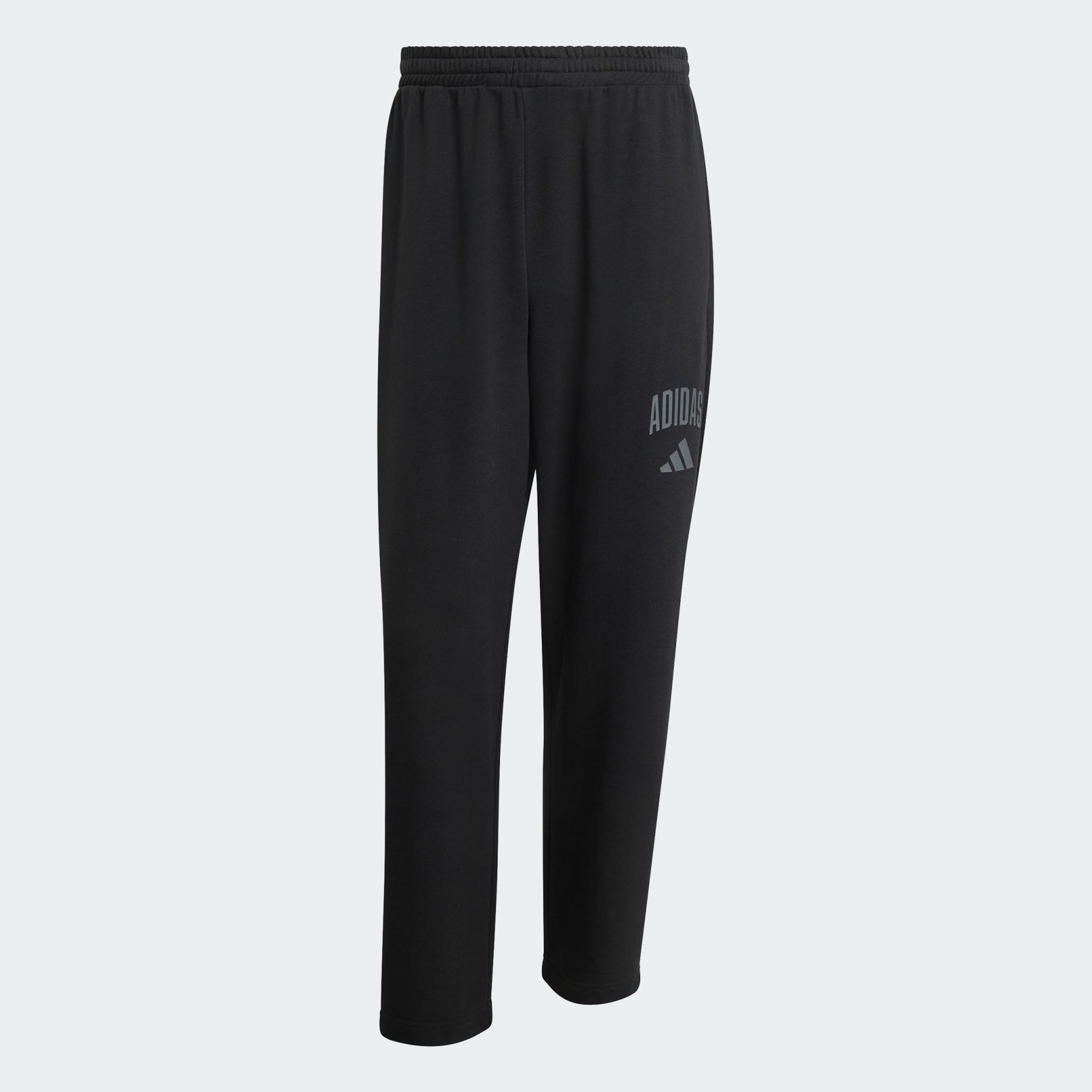COLLEGIATE FRENCH TERRY PANTS