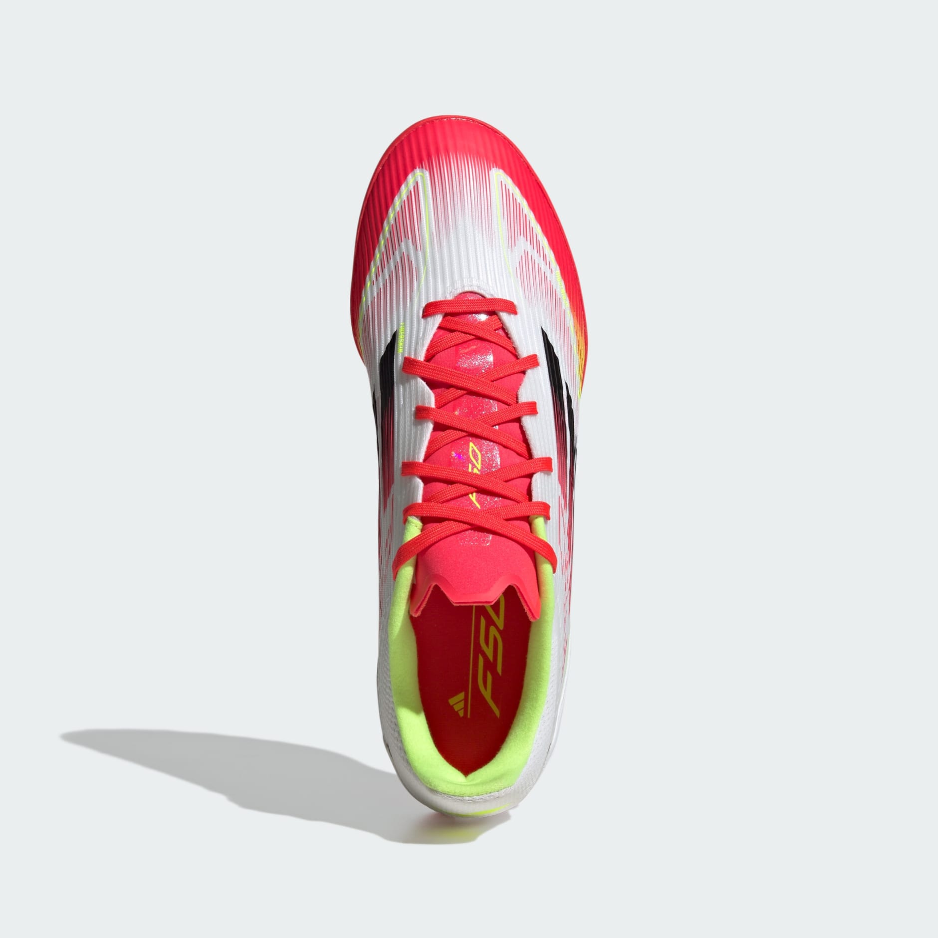 F50 LEAGUE TF