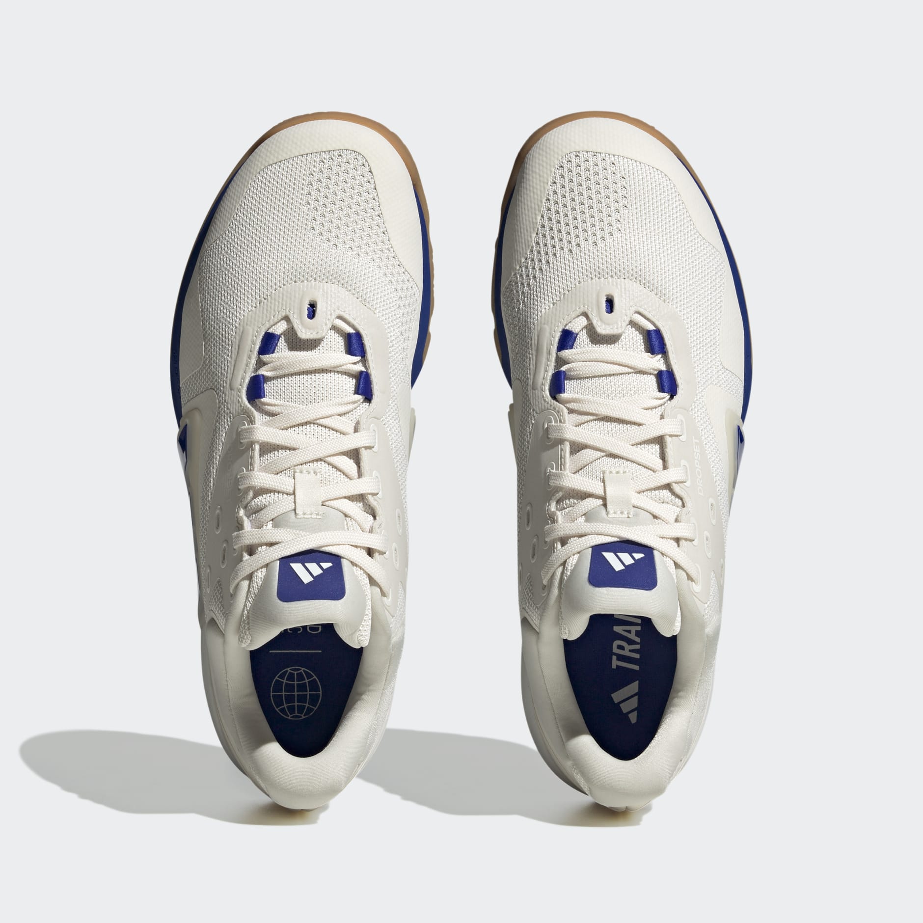 Dropset Trainer Shoes