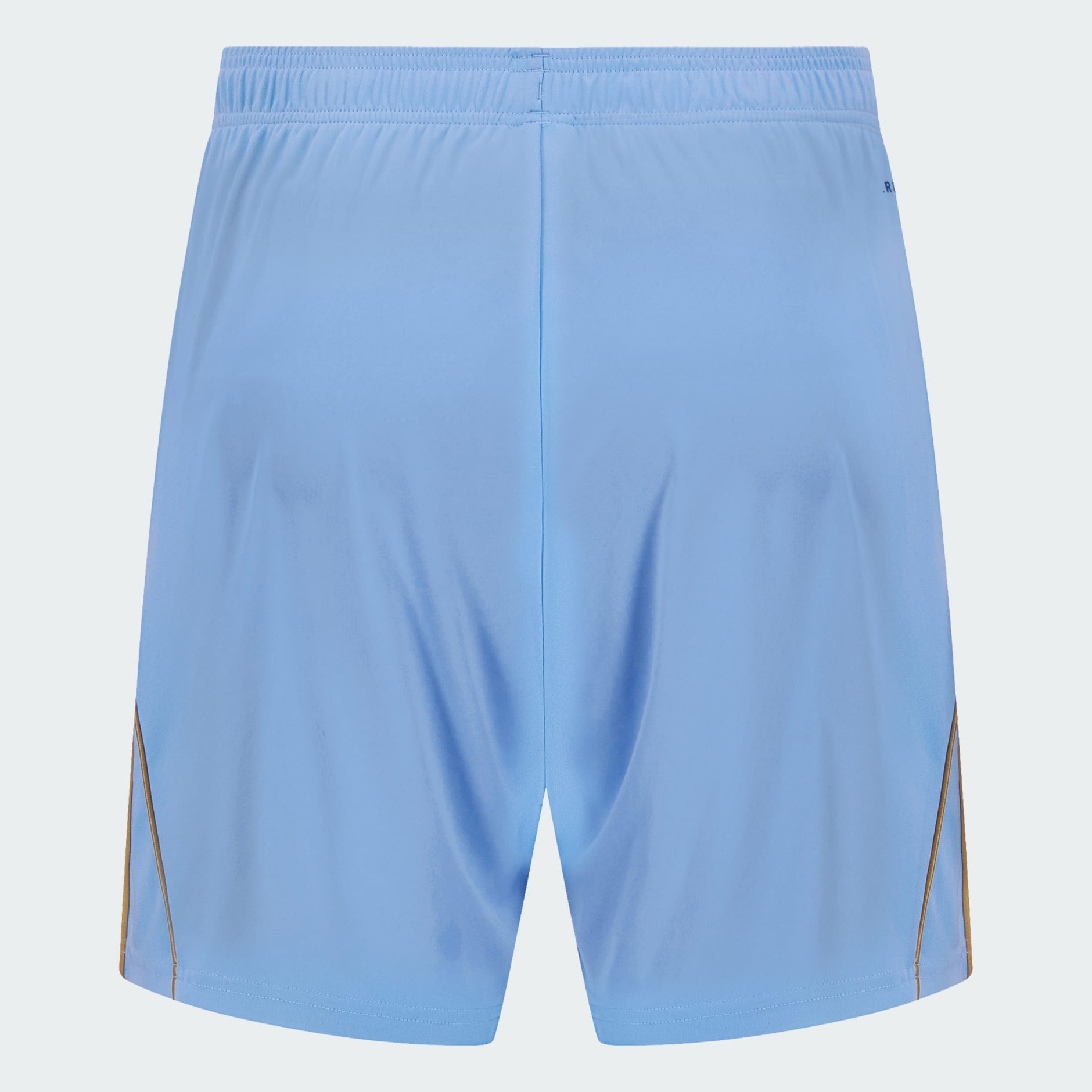 Al Ahly 25/26 THIRD SHORT