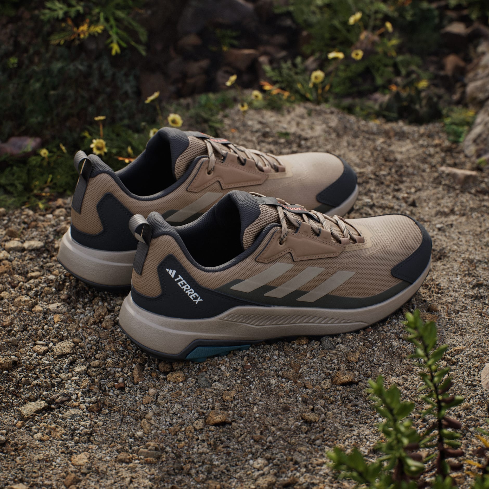 Terrex Anylander Hiking Shoes