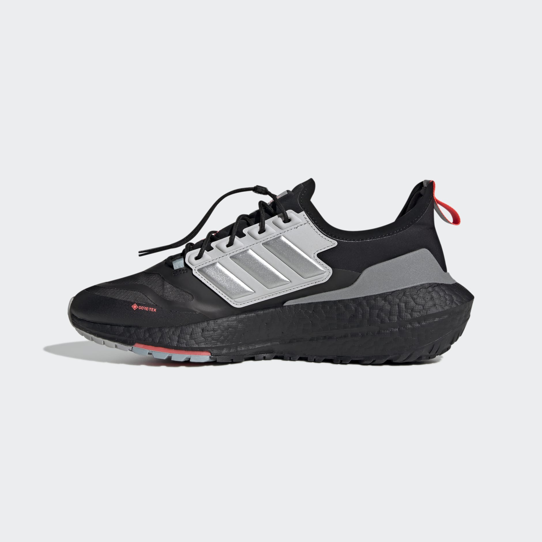 Ultraboost 21 GTX Shoes