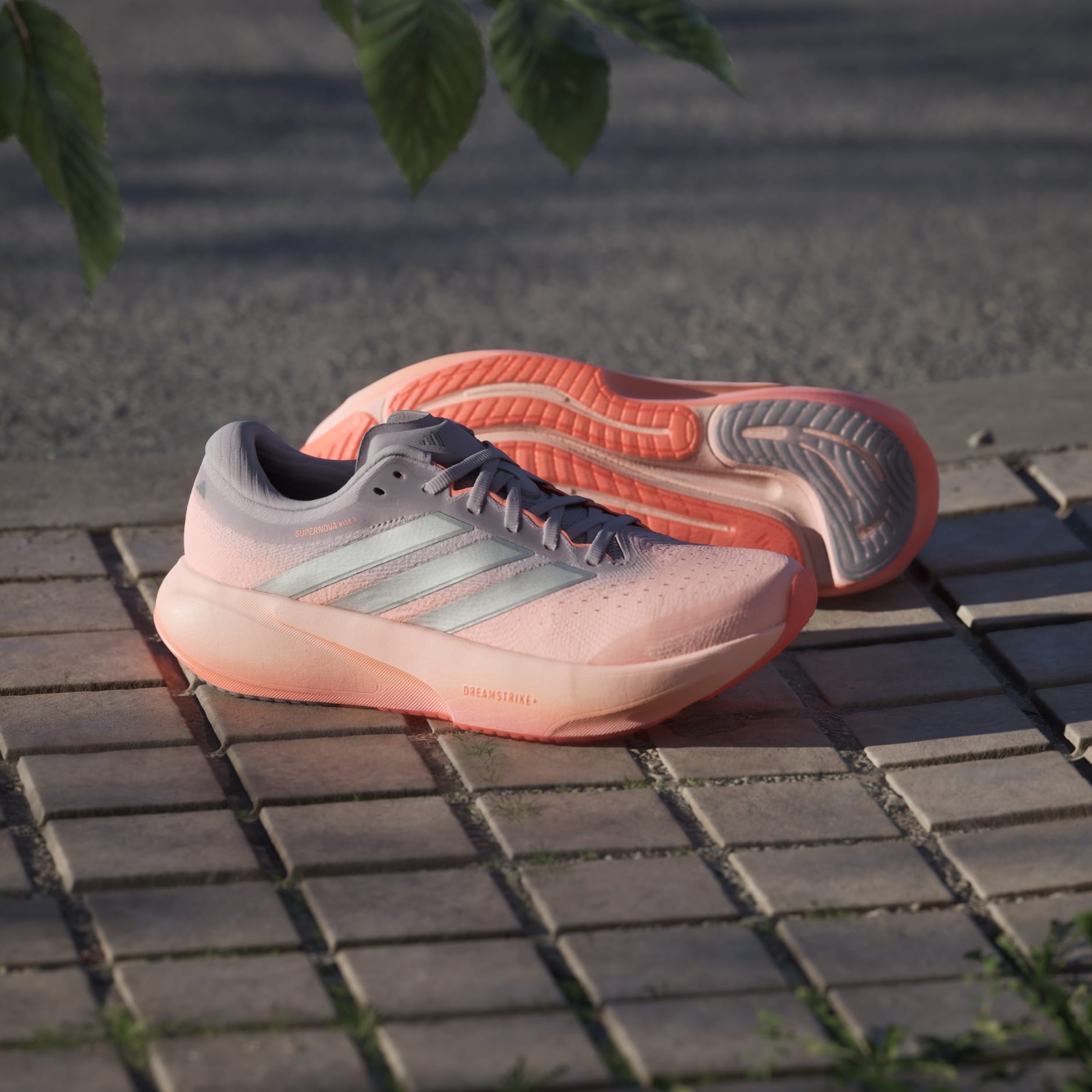 CHAUSSURE DE RUNNING SUPERNOVA RISE&nbsp;3