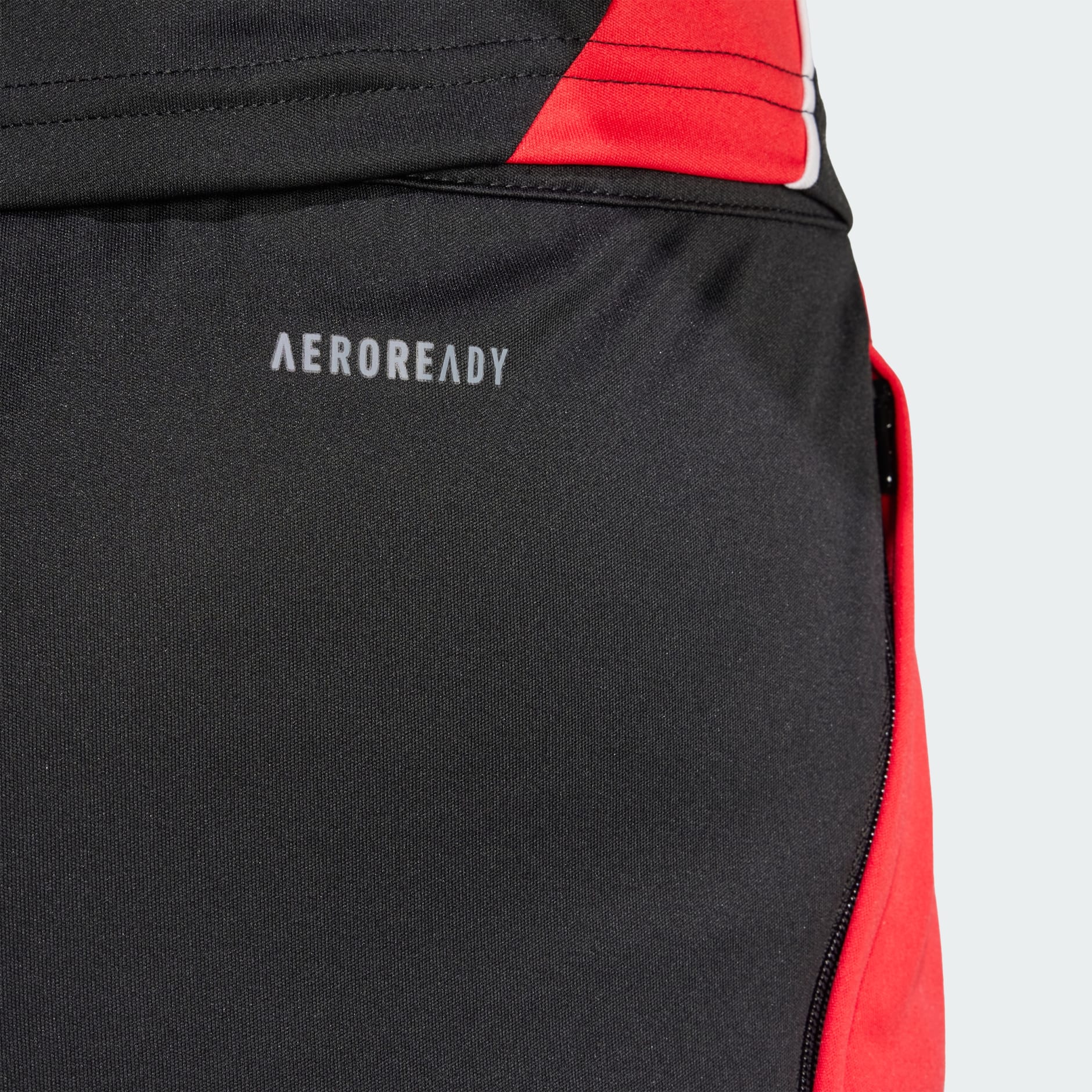 Tiro 24 Training Shorts