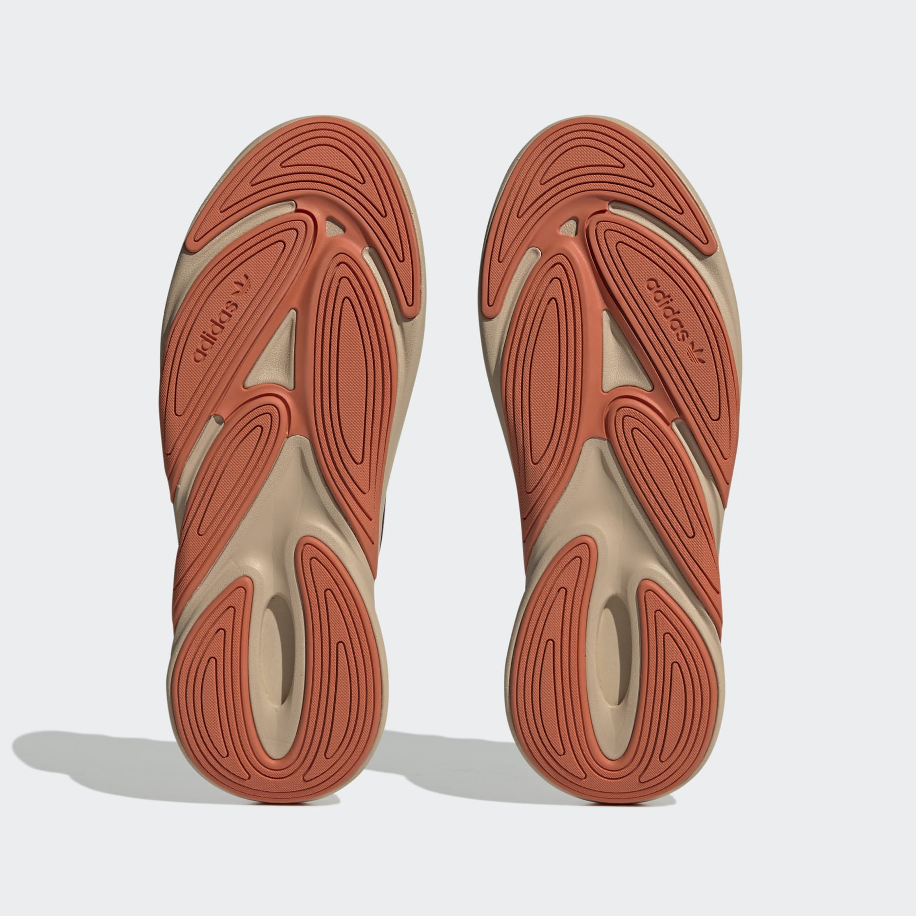 Ozelia Shoes