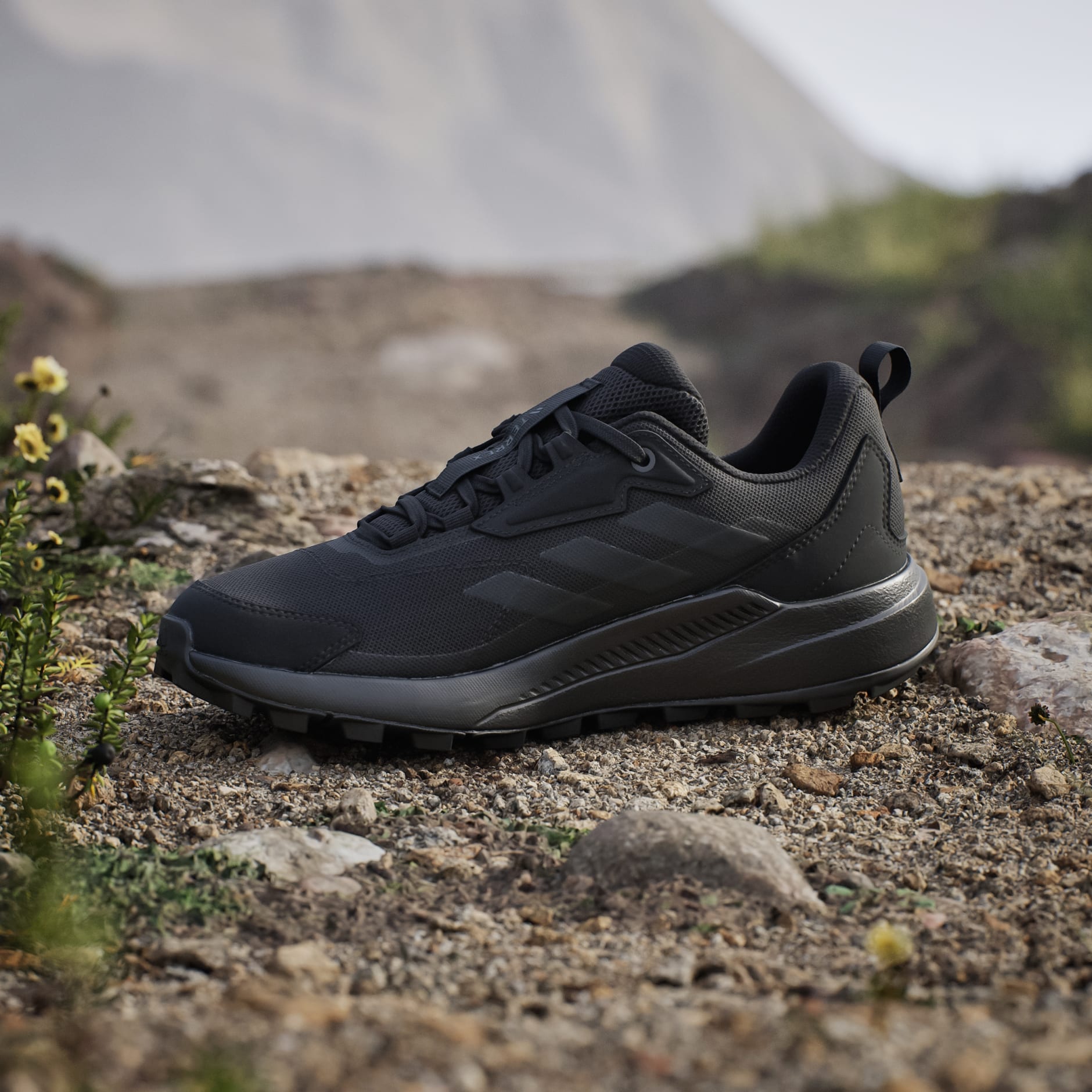 Chaussure de randonn&eacute;e Terrex Anylander