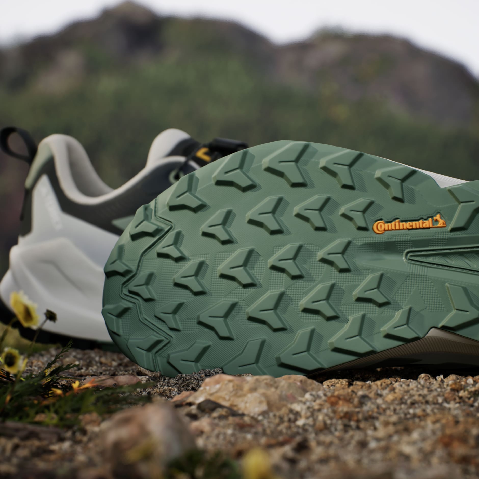 ADIDAS NATIONAL GEOGRAPHIC TERREX TRAILMAKER 2 GORE-TEX HIKING SHOES