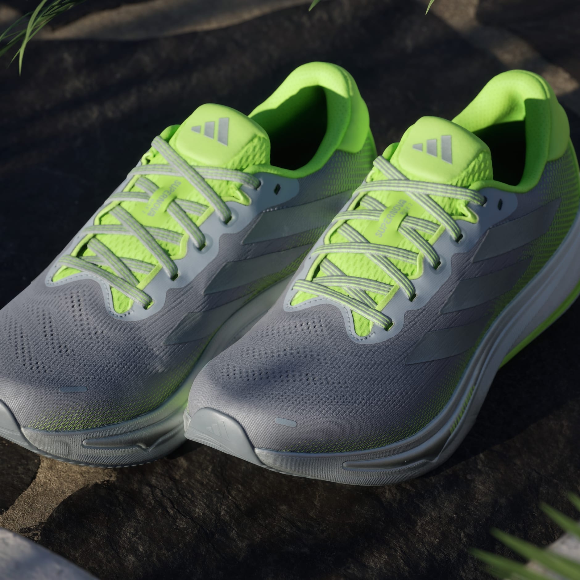 Pantofi de alergare Supernova Rise 2