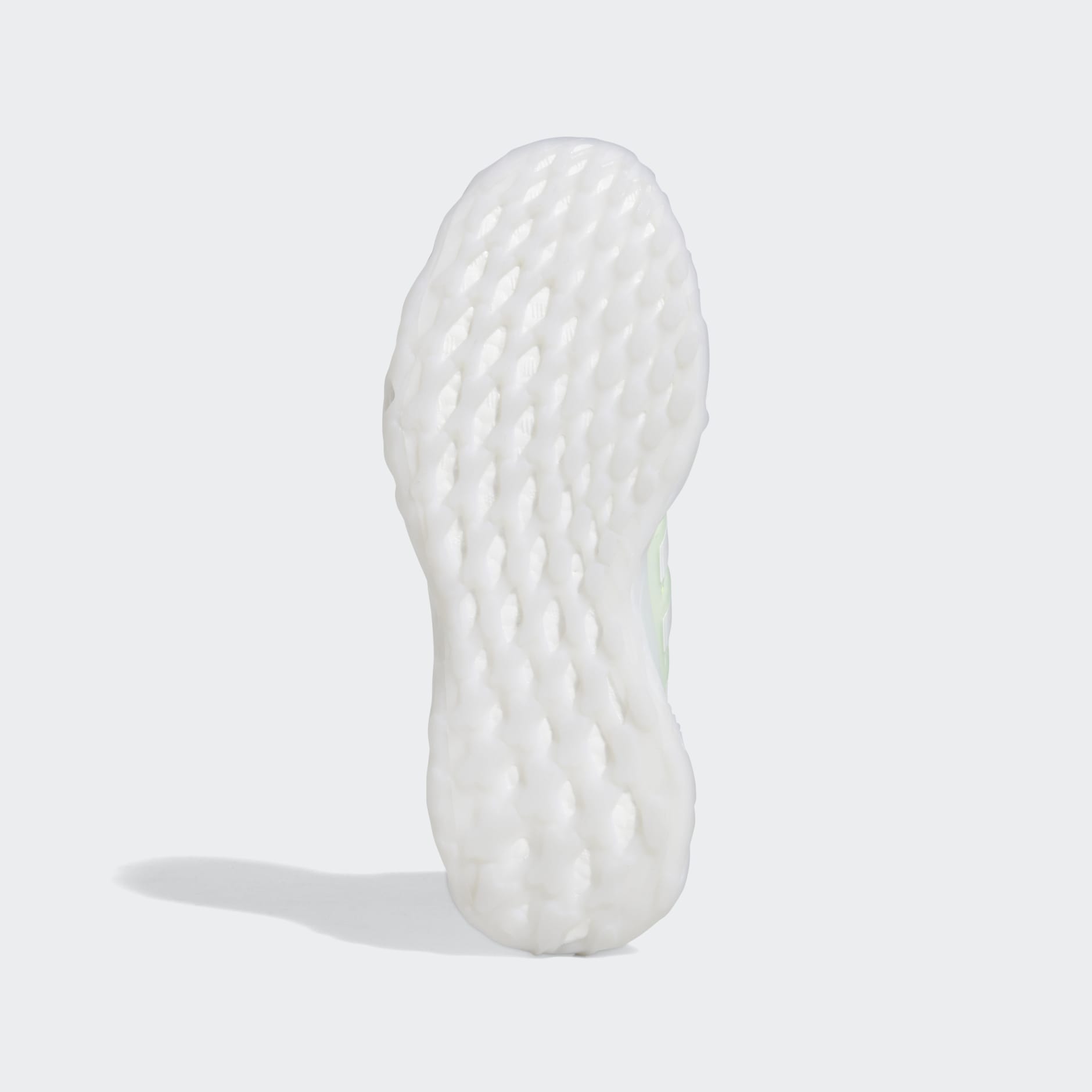 Ultraboost Web DNA Shoes