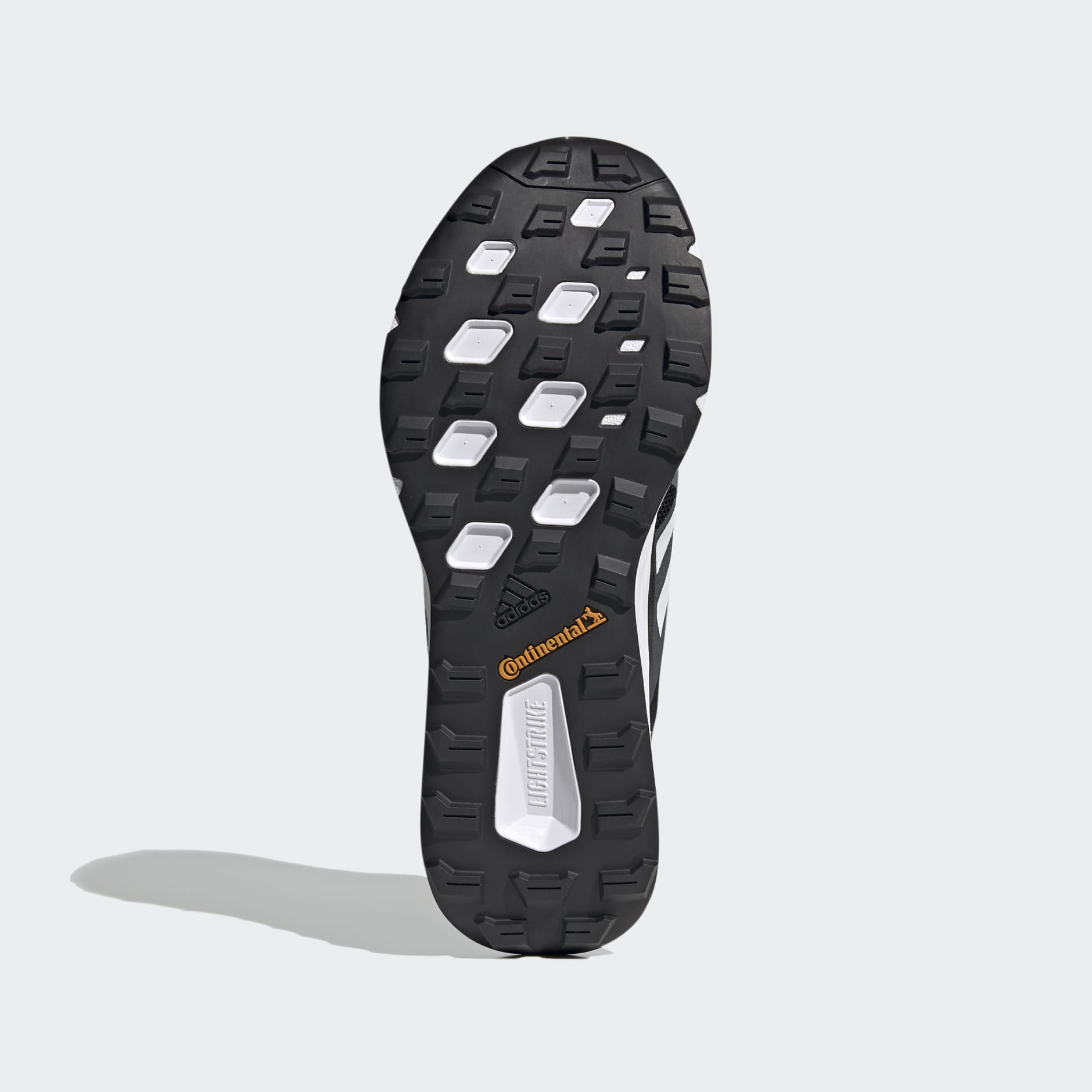 Terrex Two BOA Trail Running Shoes
