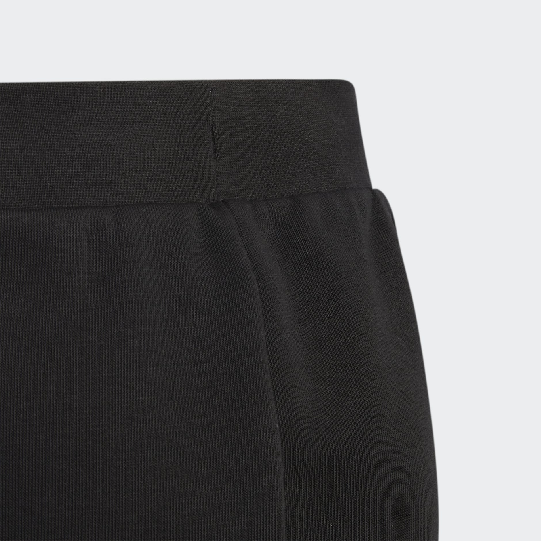 Badge of Sport Logo Pants