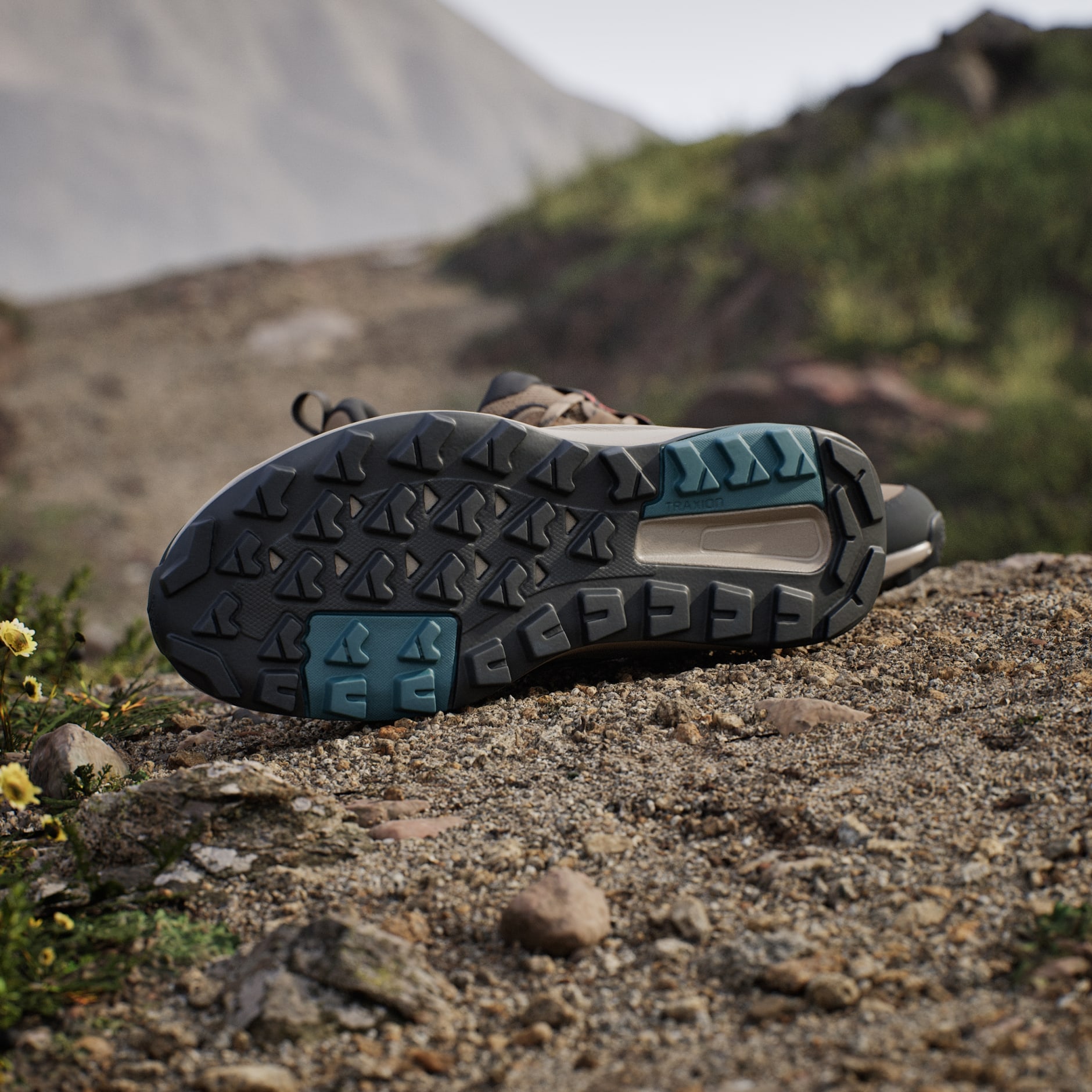 Terrex Anylander Hiking Shoes