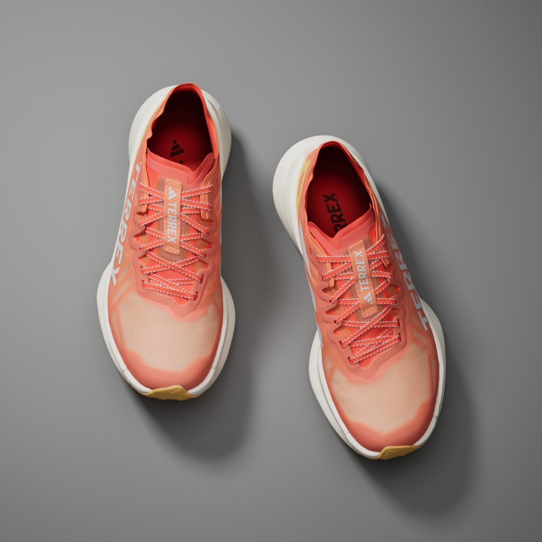 נעלי ריצה אולטרה טרייל Terrex Agravic Speed