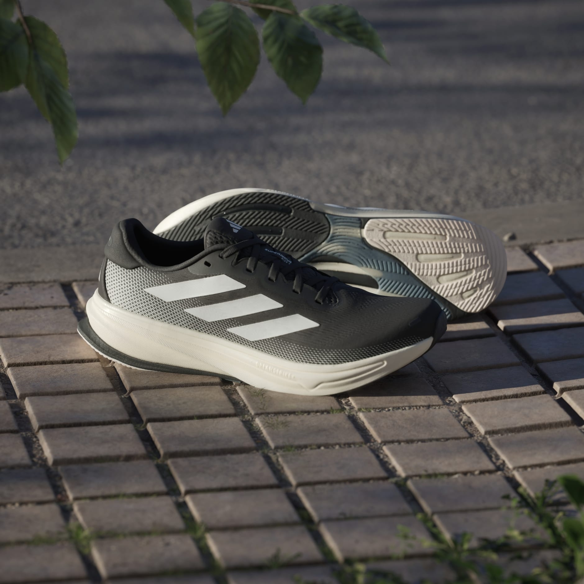 Tenis Supernova Rise 2 Running