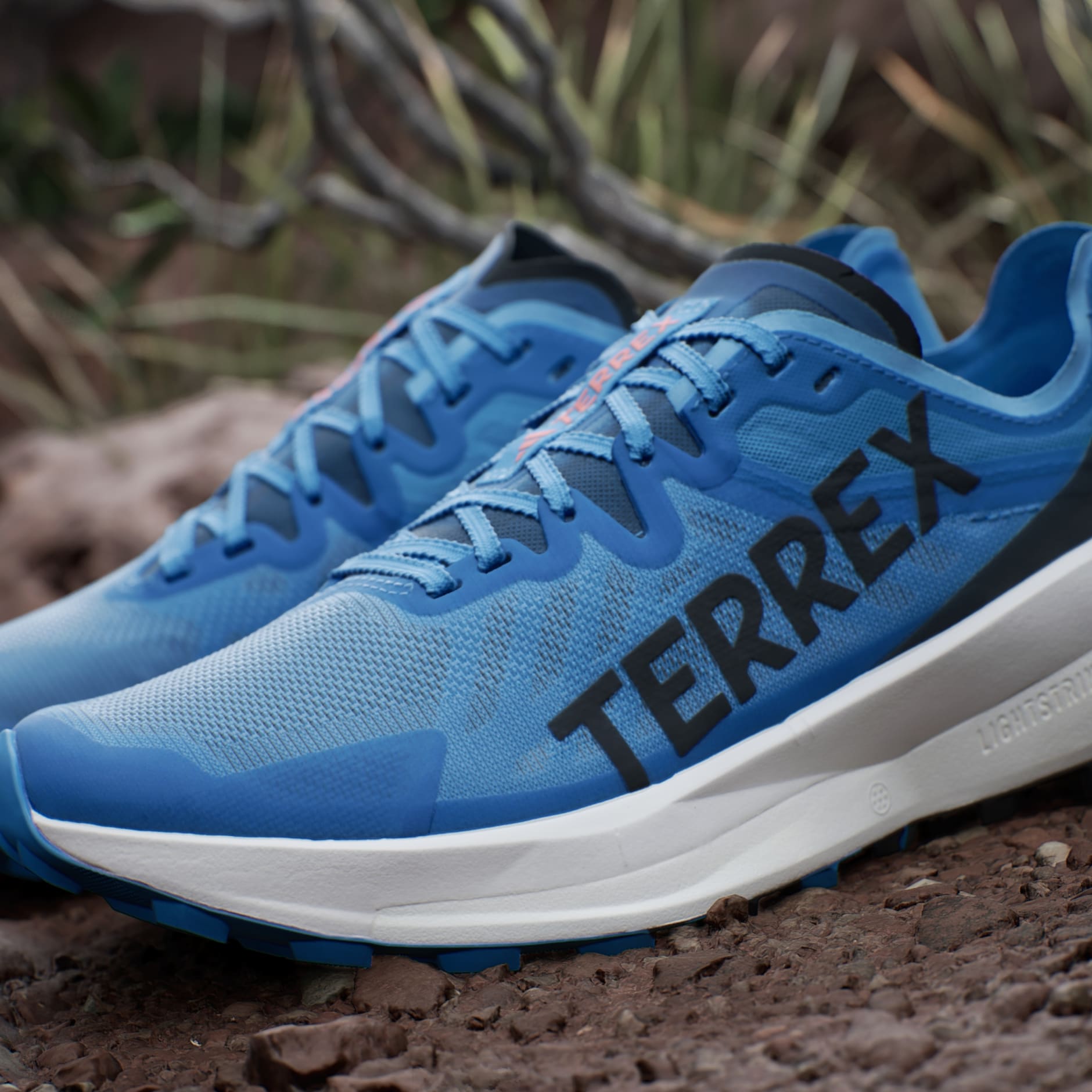 Adidas terrex agravic speed trail online