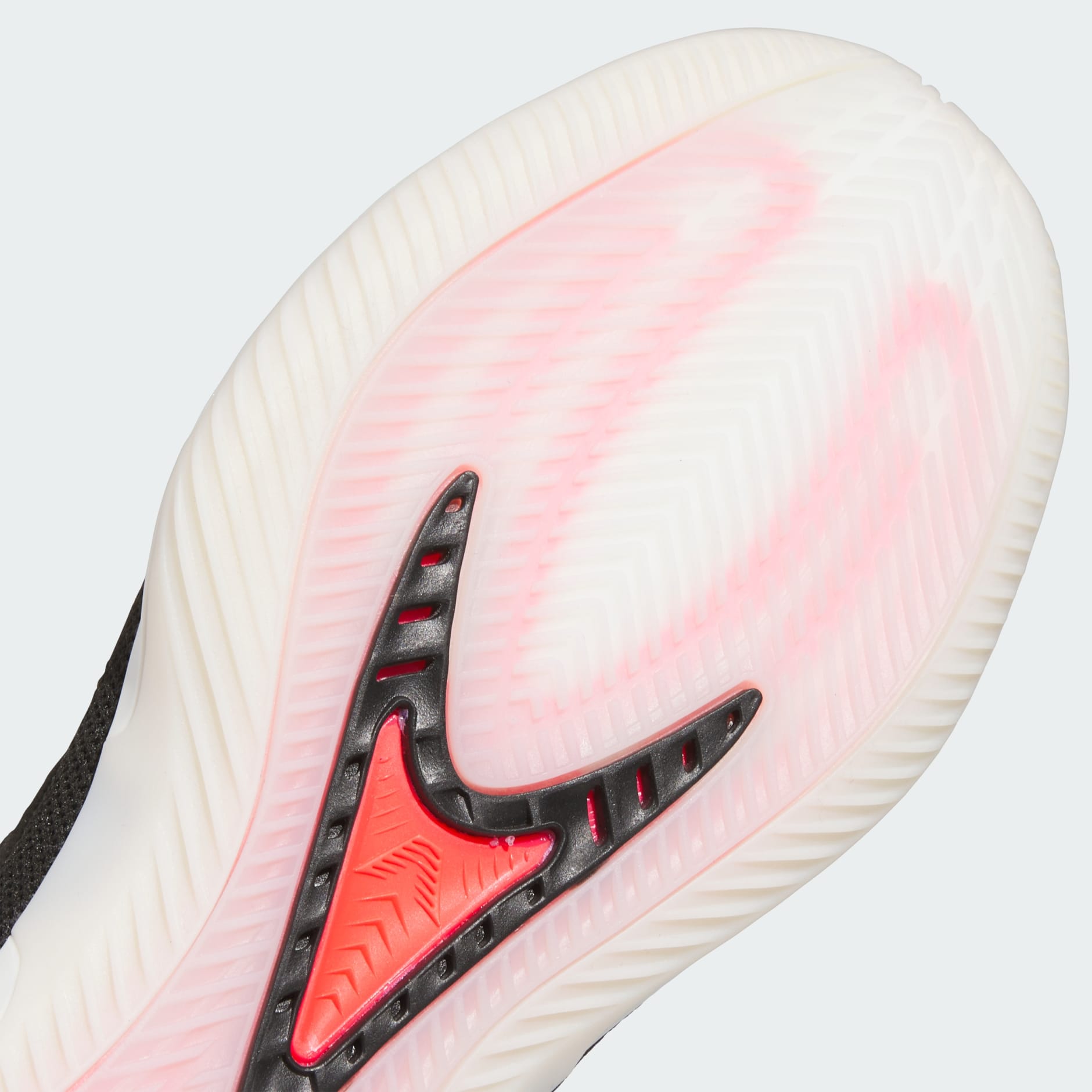 Anthony Edwards 2 Shoes