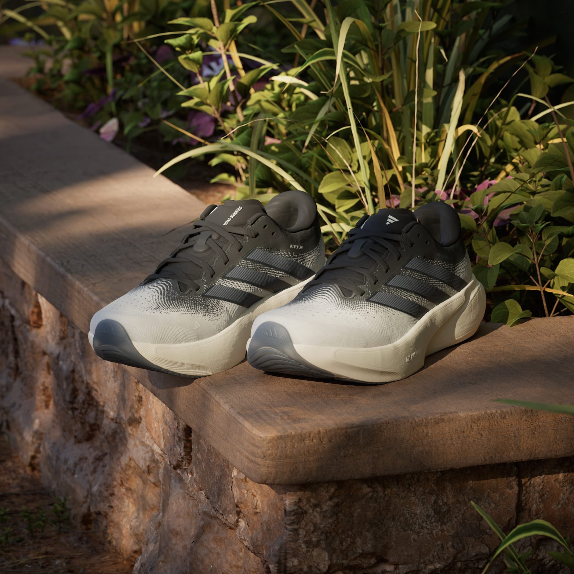 CHAUSSURE DE RUNNING SUPERNOVA RISE&nbsp;3