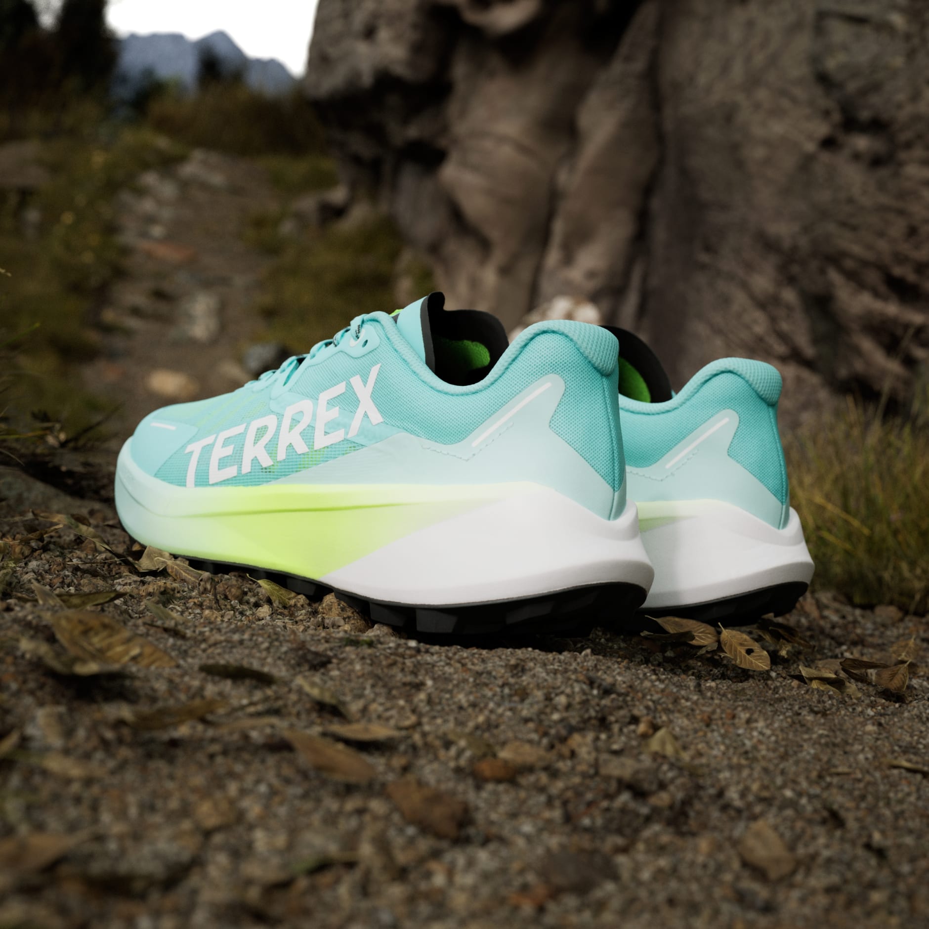 Tenisice za trail trčanje Terrex Agravic 3