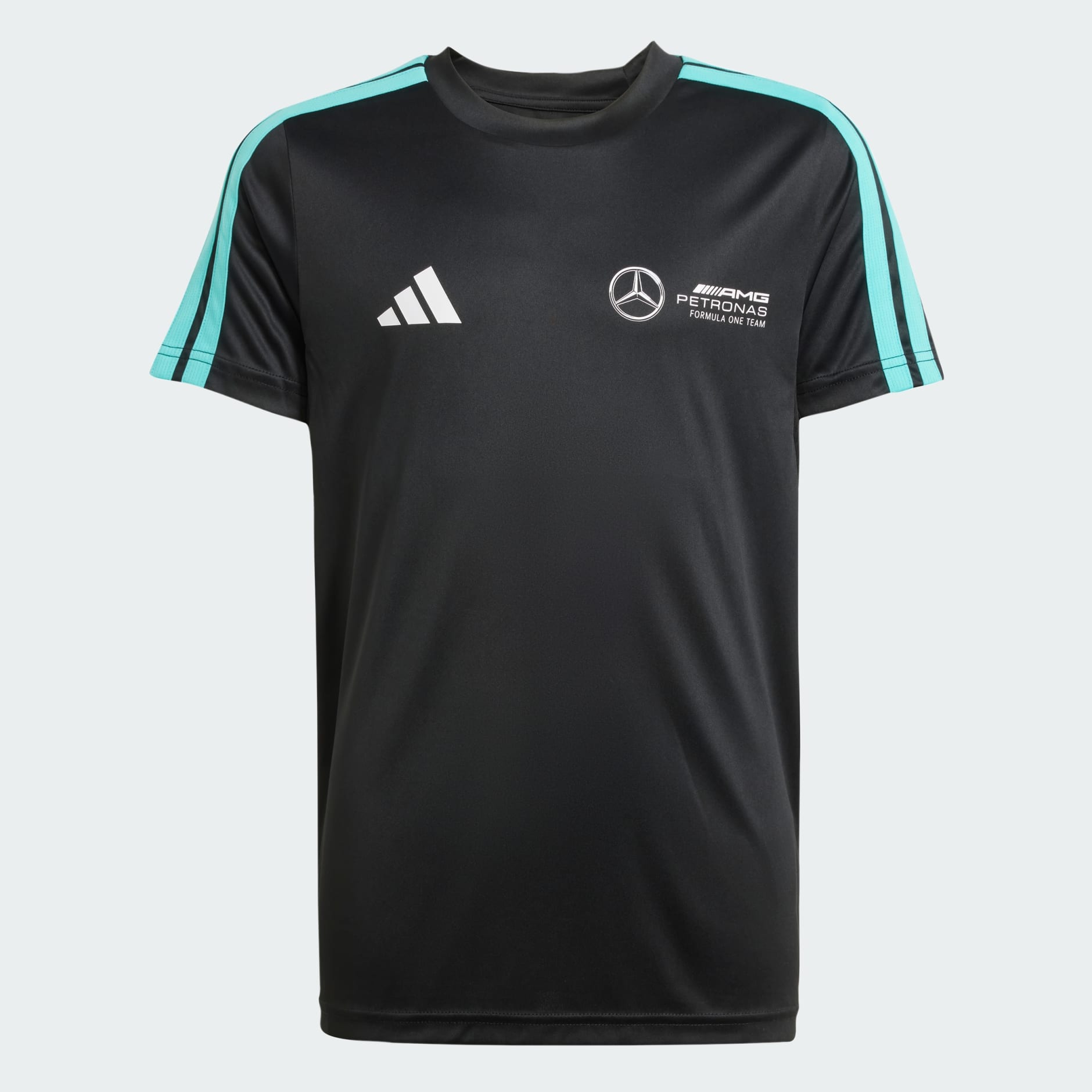 MERCEDES - AMG PETRONAS FORMULA ONE TEAM DNA TEE YOUTH
