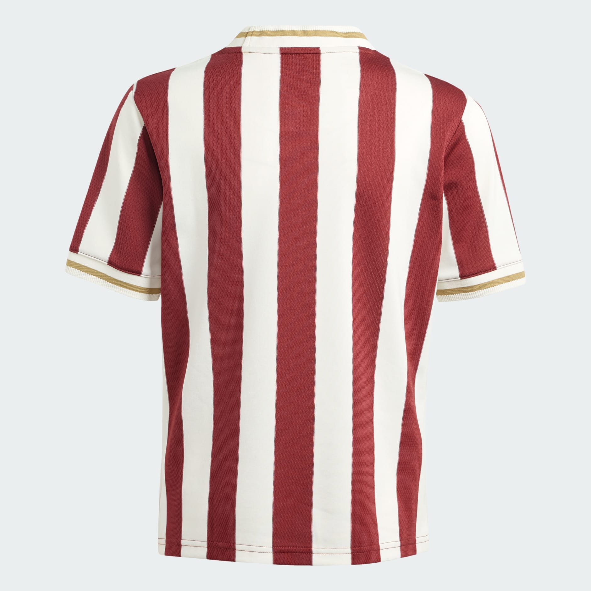 1. FC N&uuml;rnberg Anniversary dres