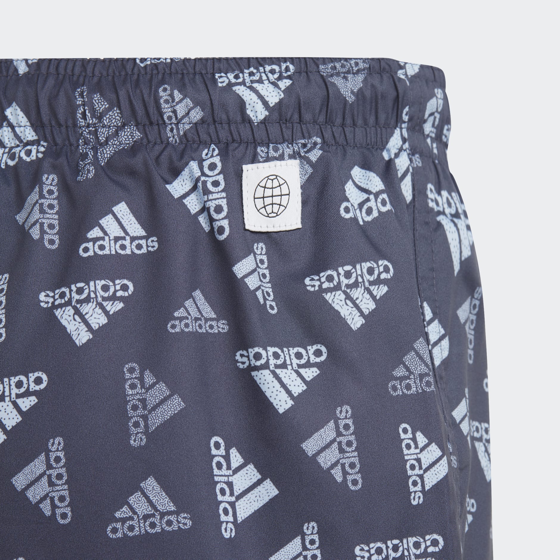 Logo Print CLX Swim Shorts