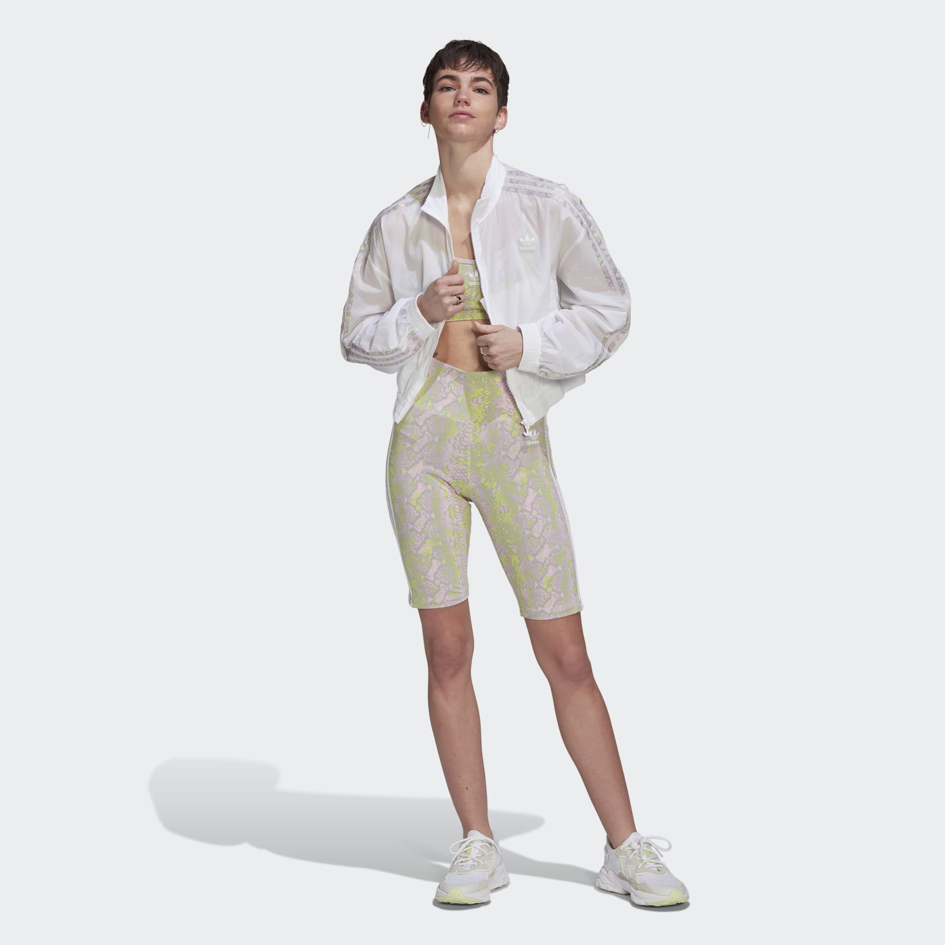 Windbreaker Jacket