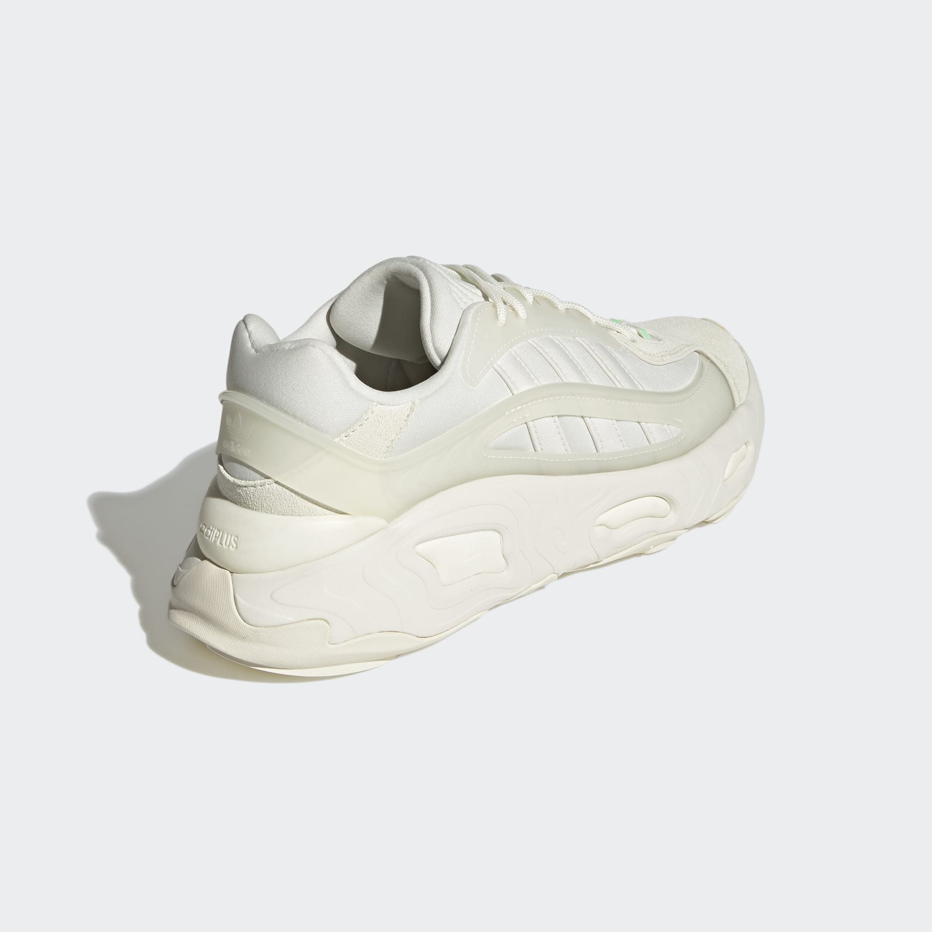OZNOVA Shoes