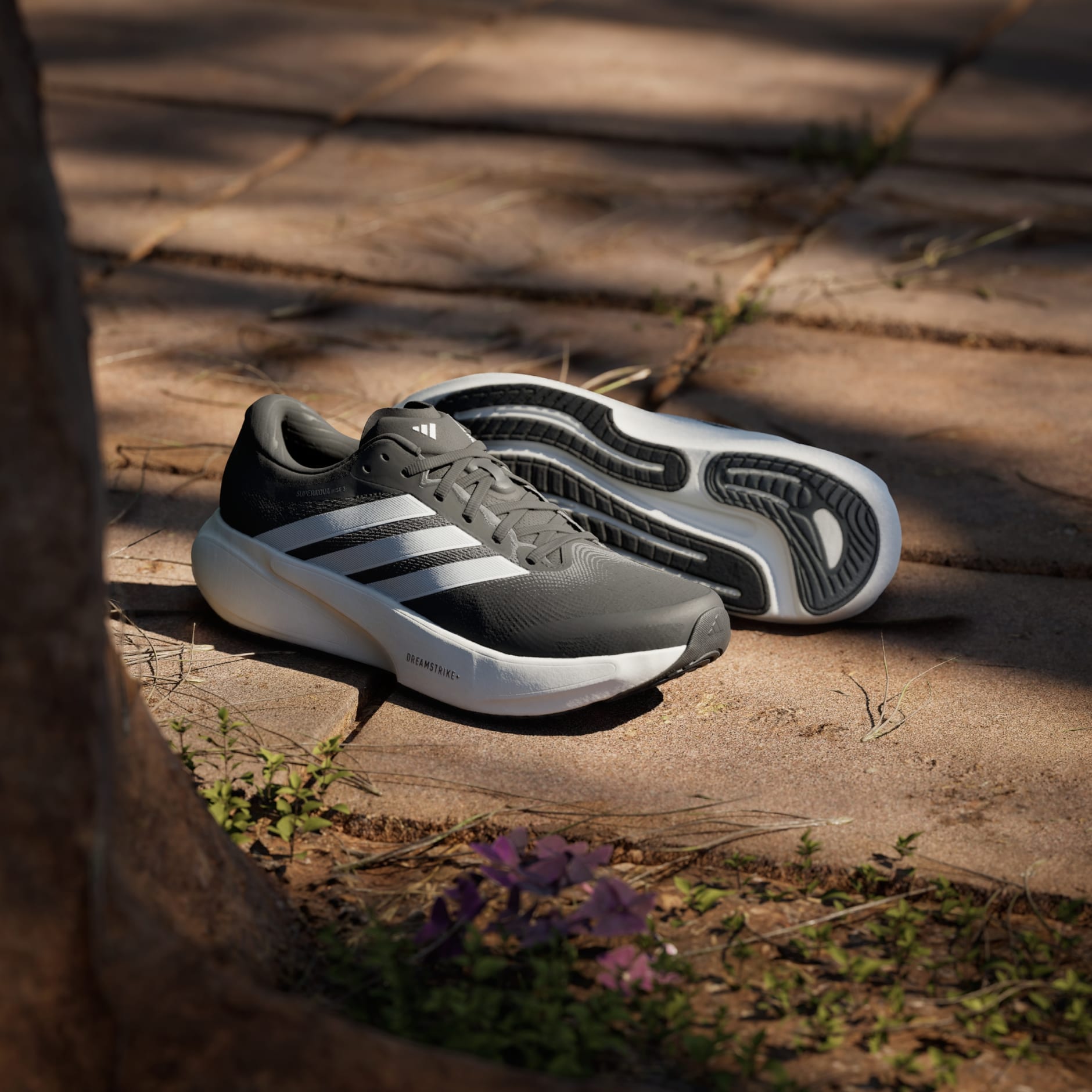 CHAUSSURE DE RUNNING SUPERNOVA RISE&nbsp;3