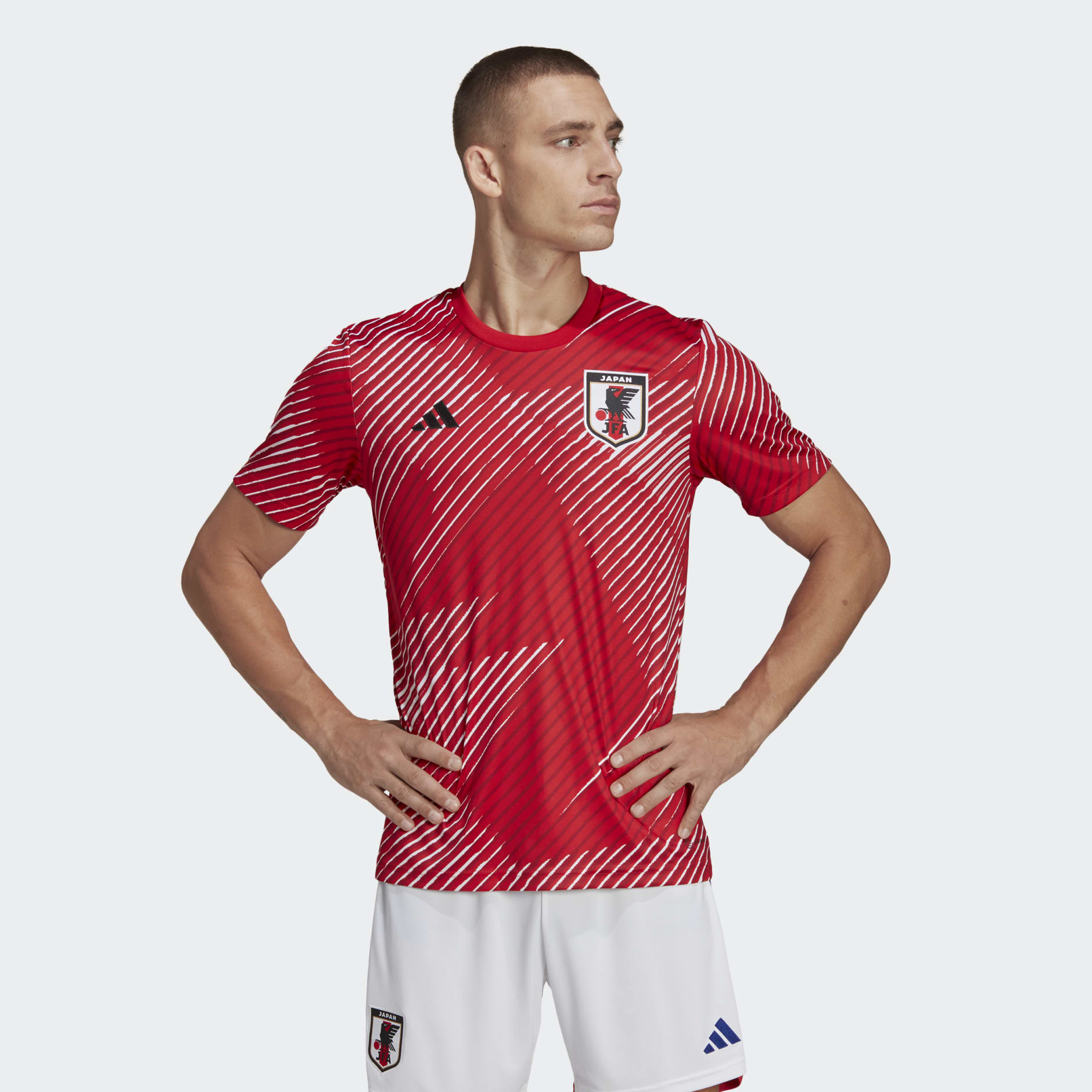 Camiseta Prepartido Japón
