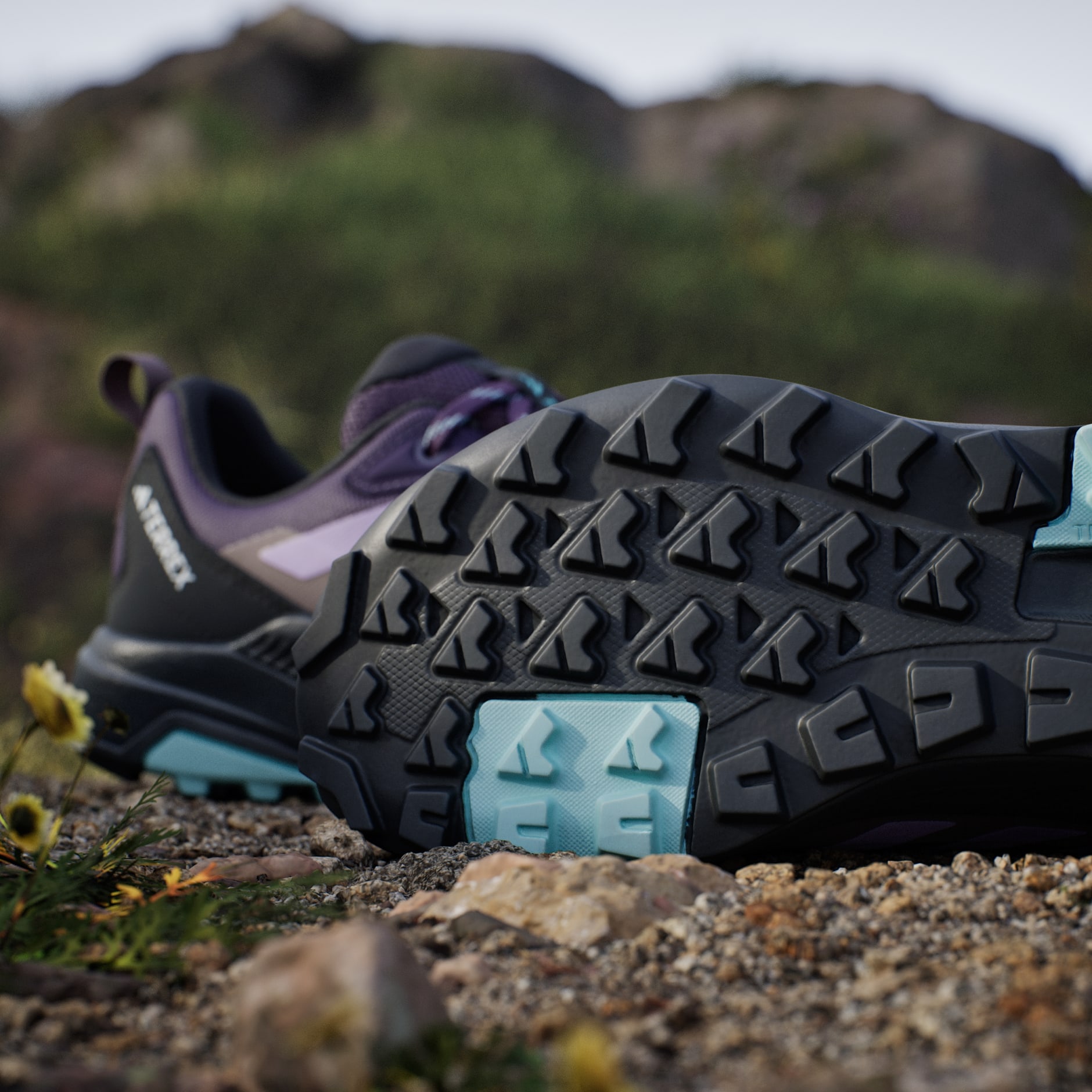 Pantofi de drumeție Terrex Anylander