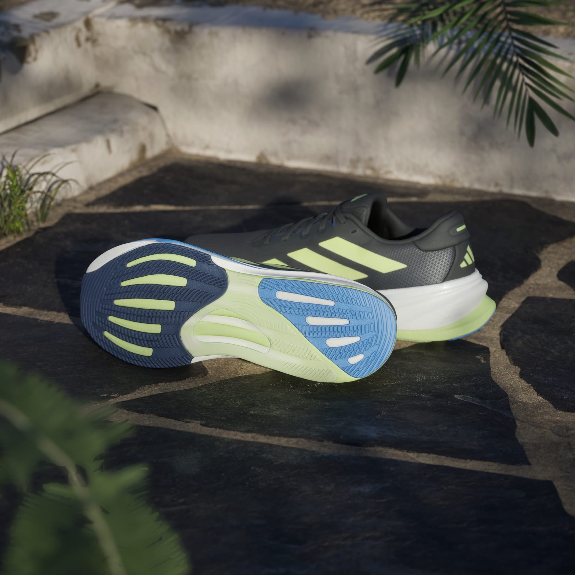 Supernova Rise 2 Running Shoes