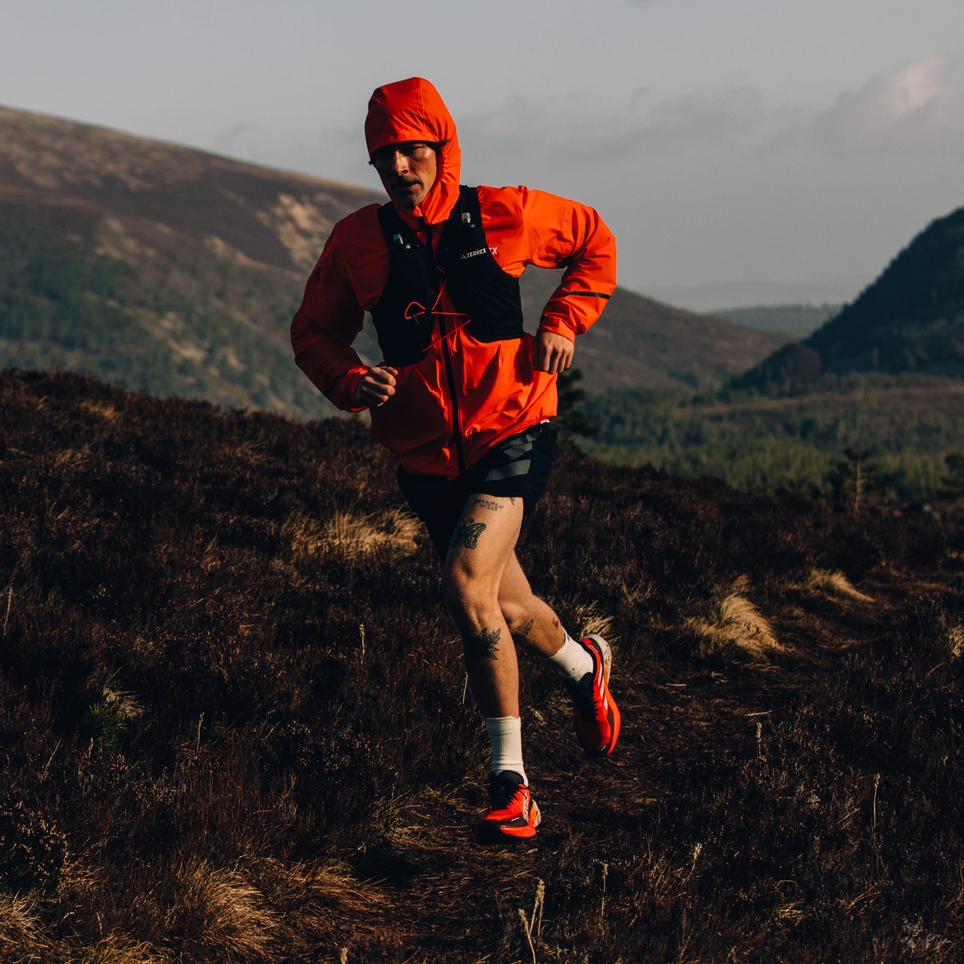 Tenis de Trail Running Terrex Agravic 3