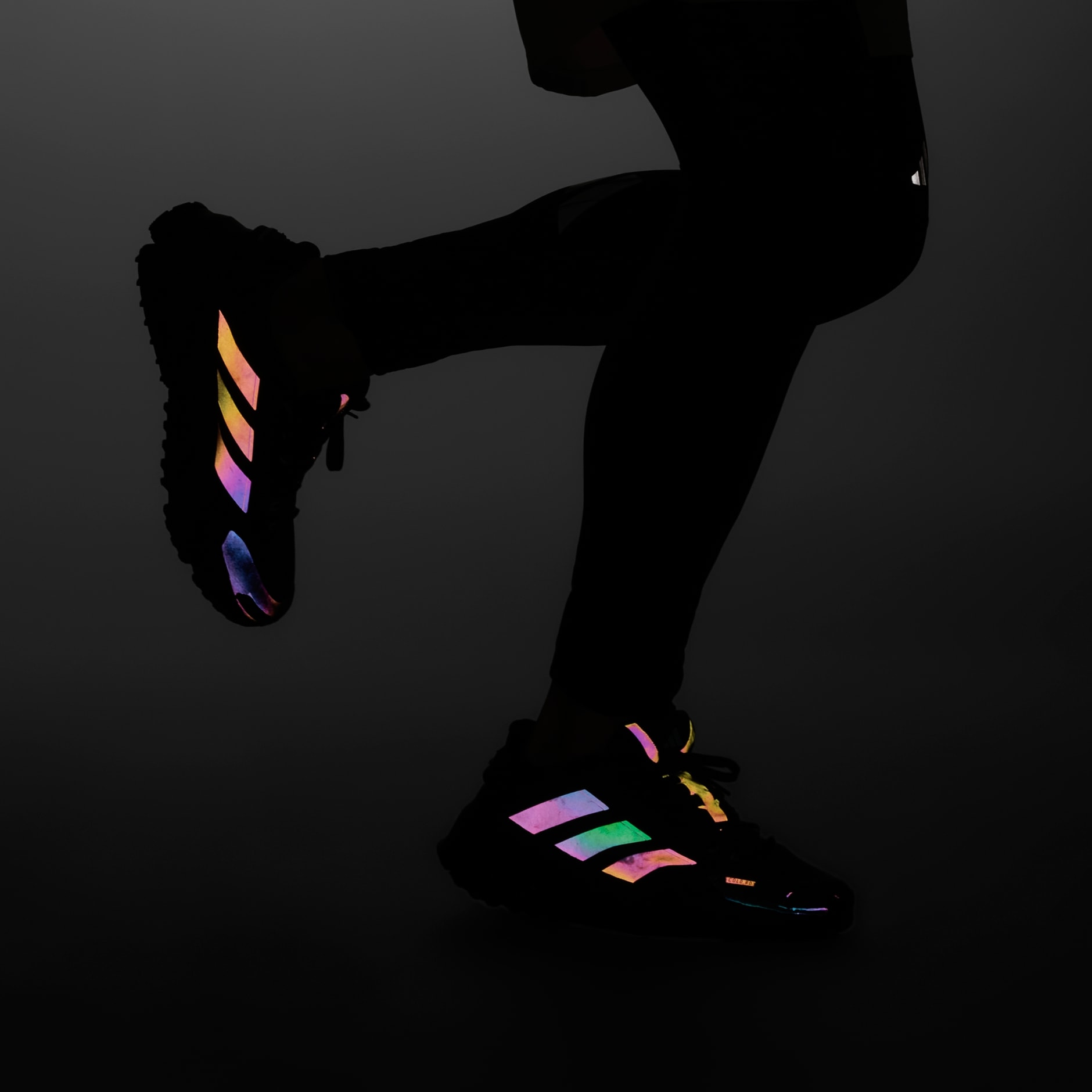 Adistar COLD.RDY Shoes